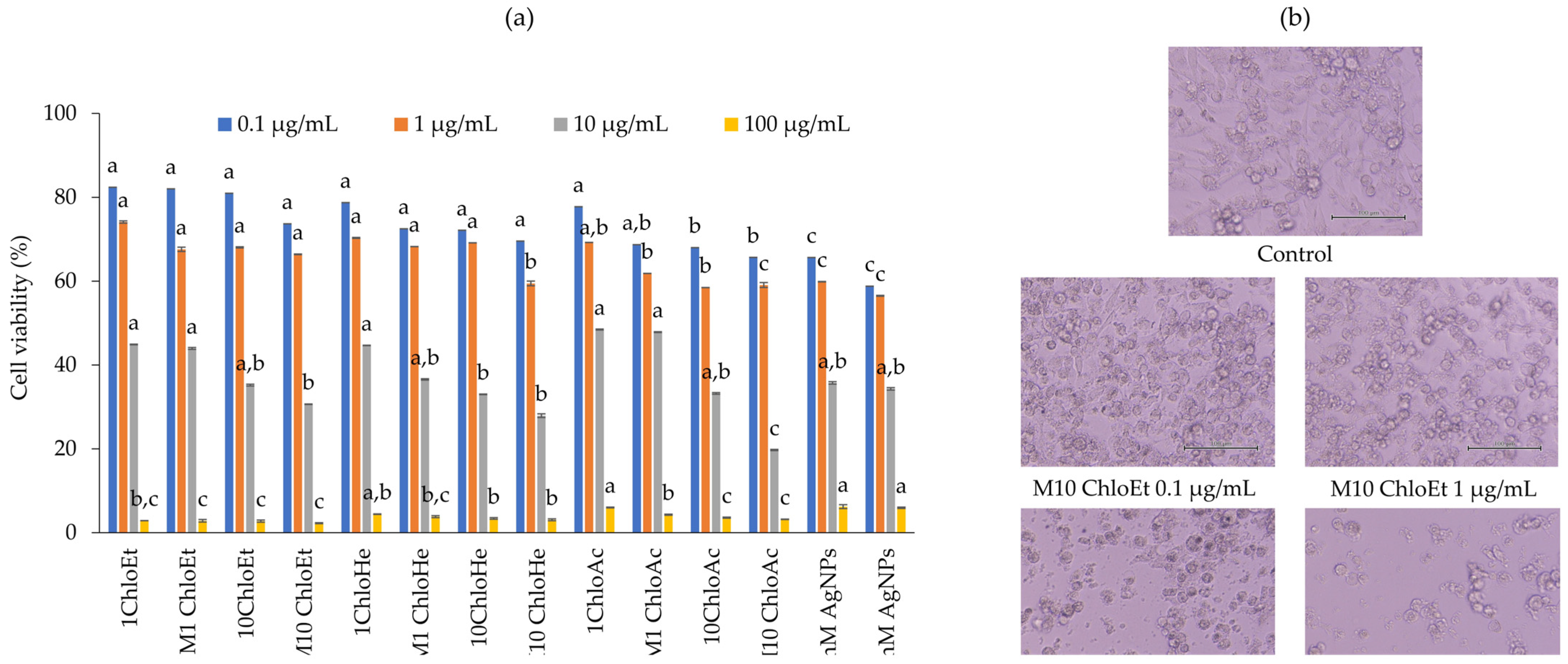 Nanomaterials 16 00334 g007