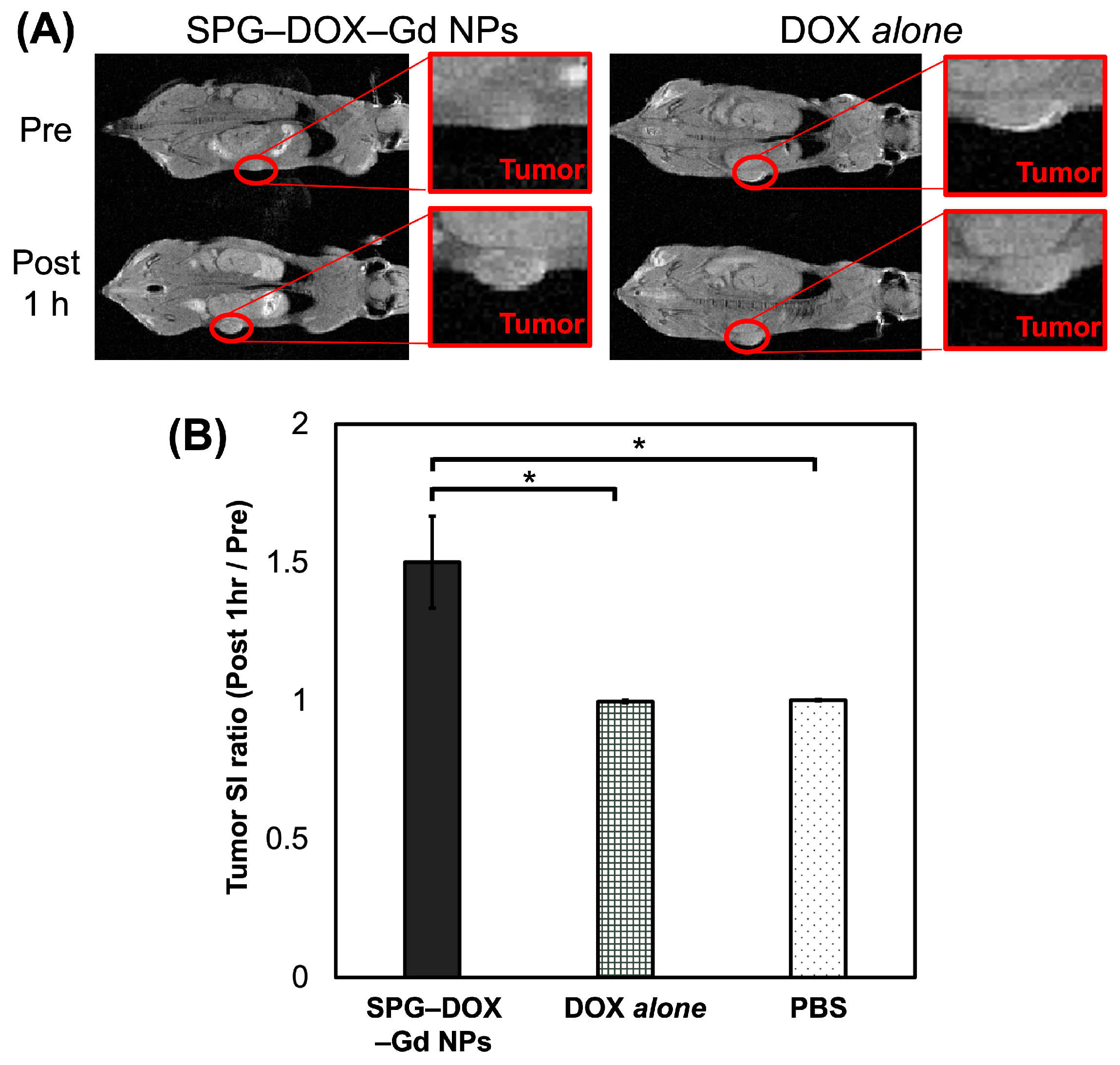 Nanomaterials 16 00343 g006