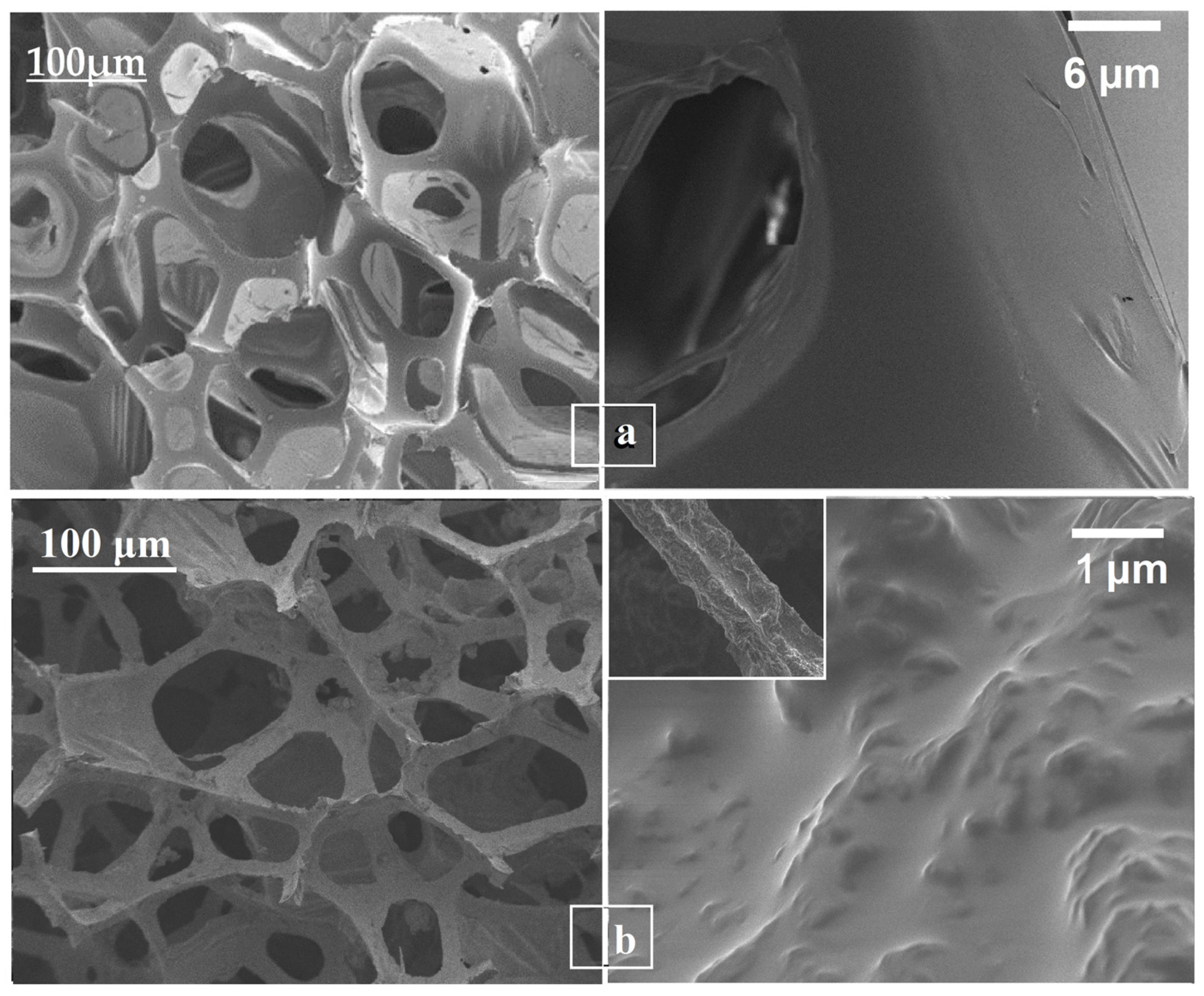 Nanomaterials 16 00345 g006