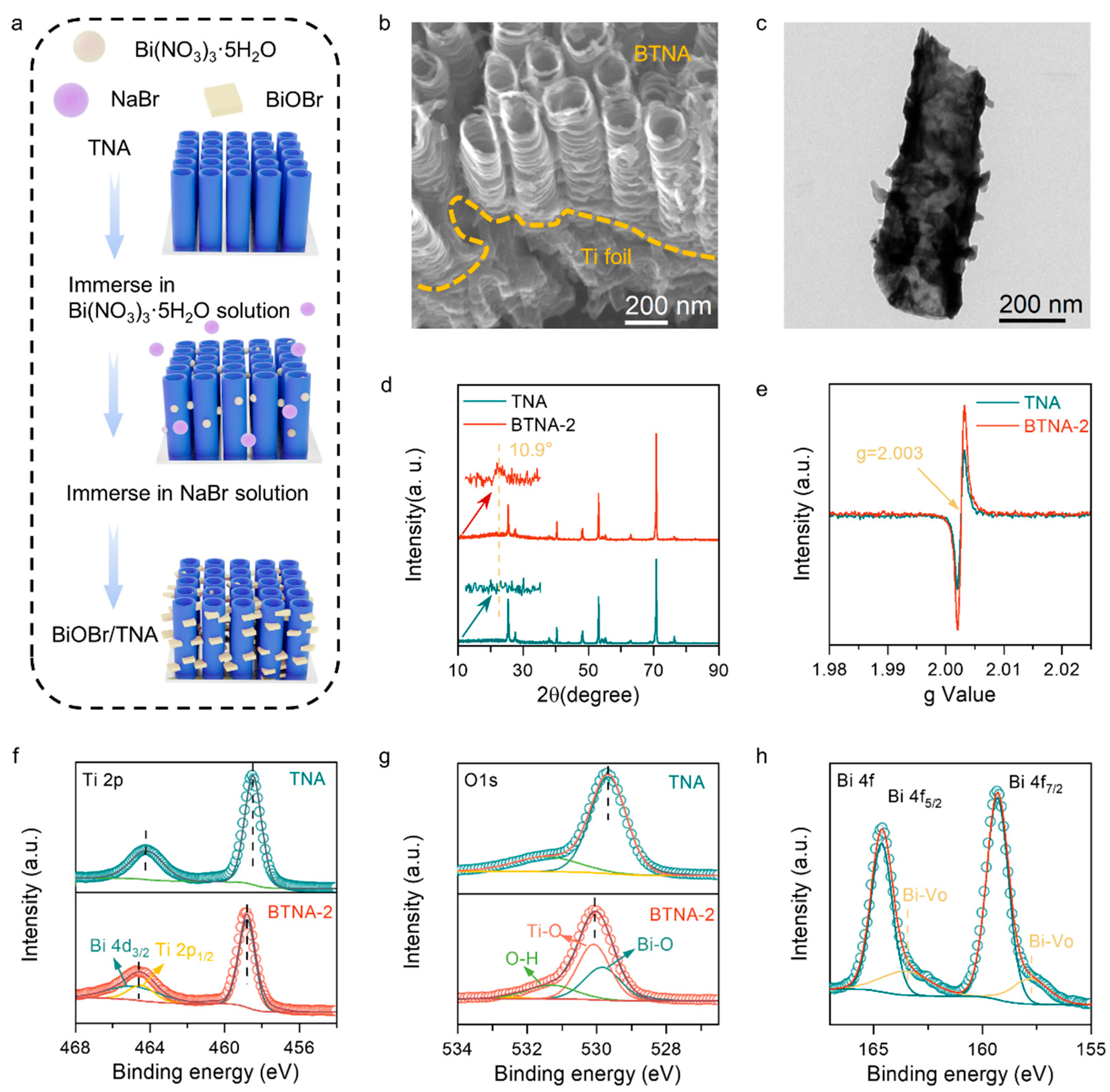 Nanomaterials 16 00354 g001 Nanomaterials 16 00354 g001