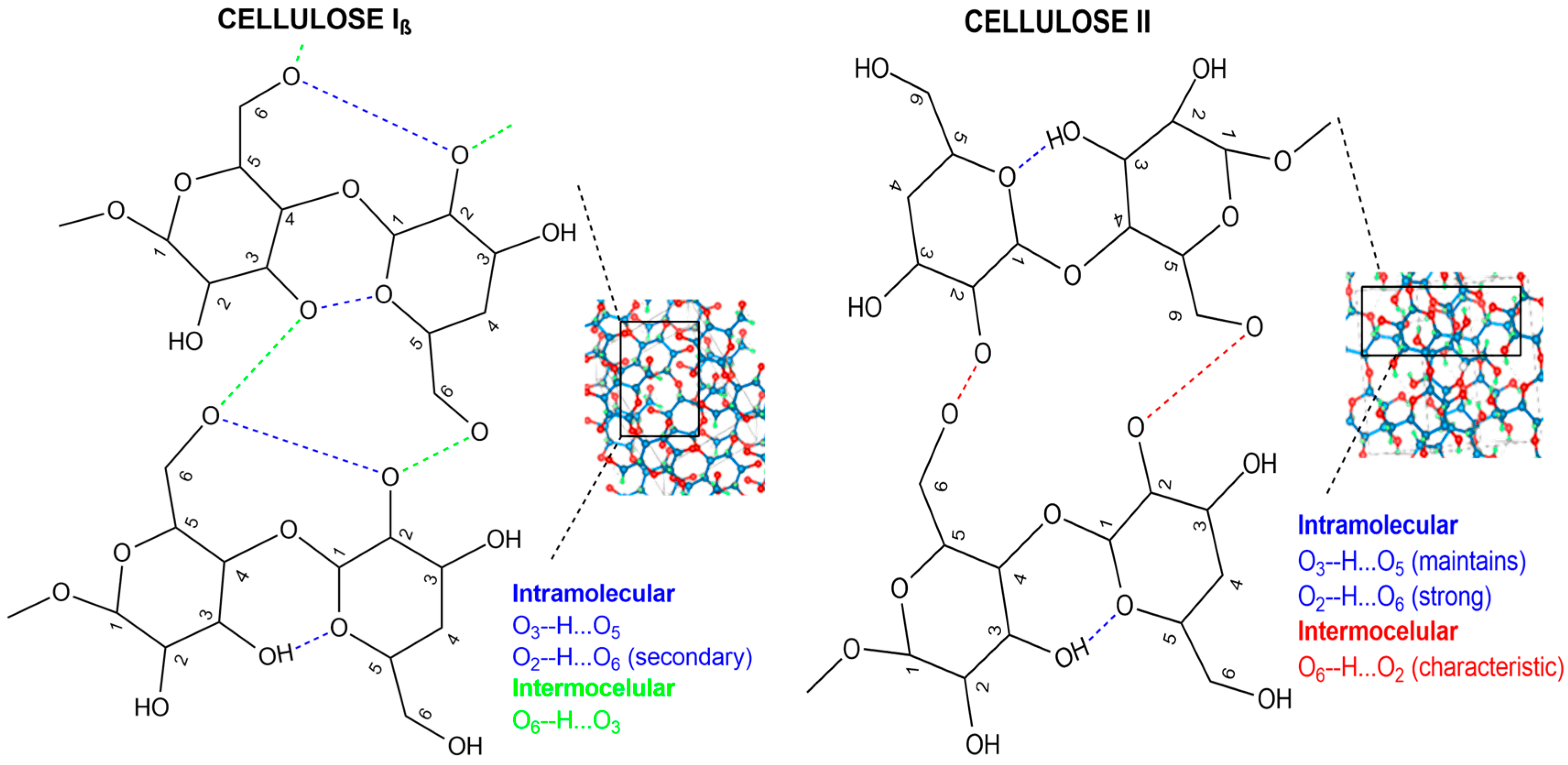 Nanomaterials 16 00374 g002