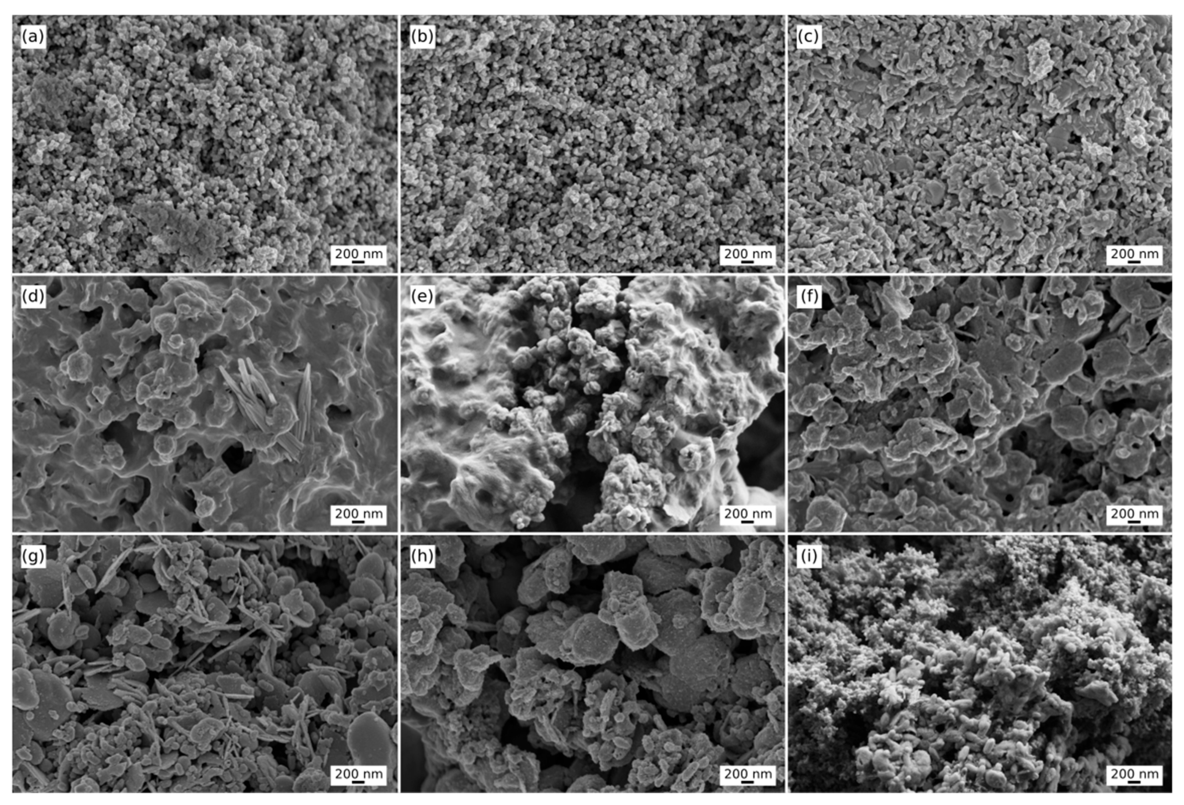Nanomaterials 16 00391 g003