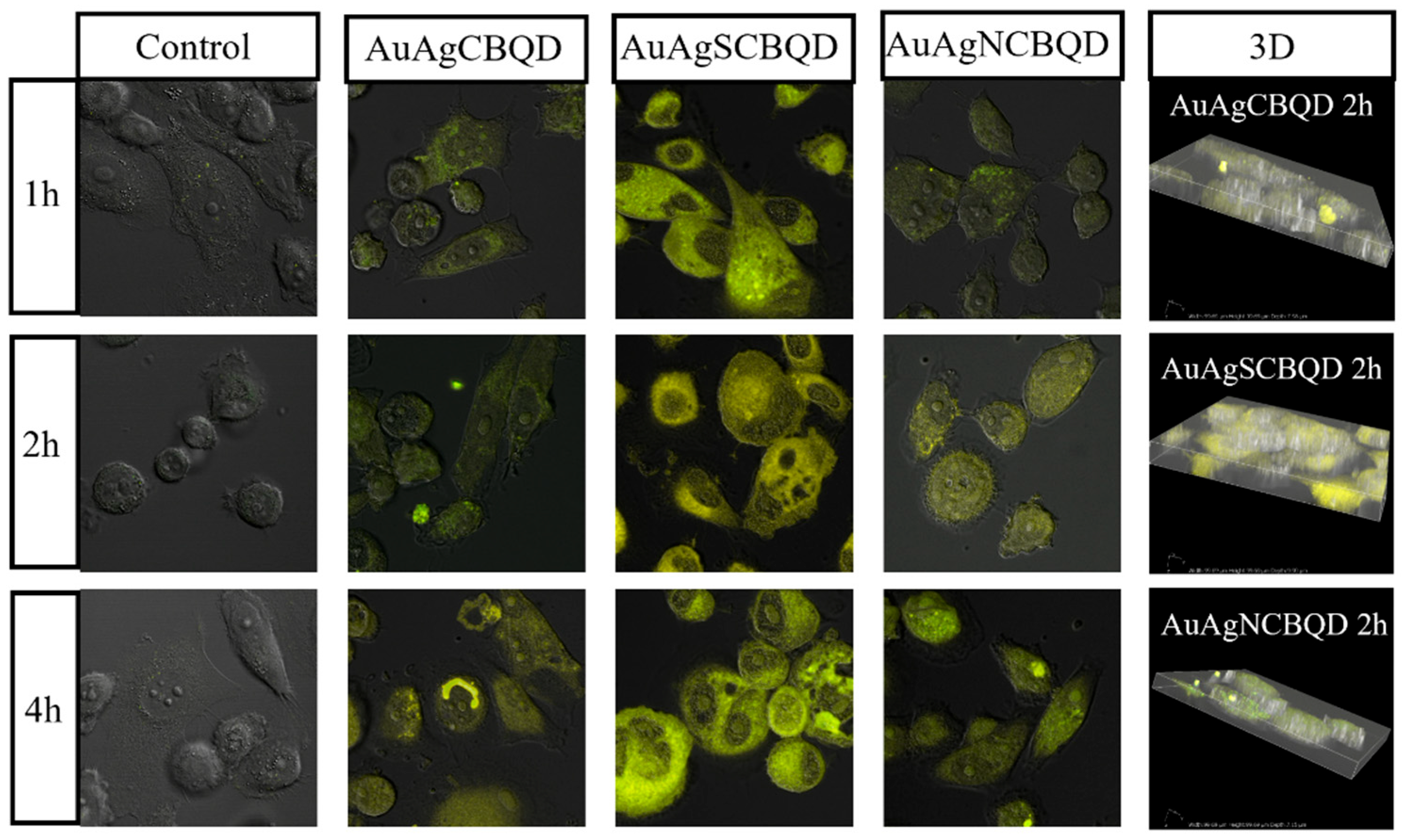 Nanomaterials 16 00396 g004
