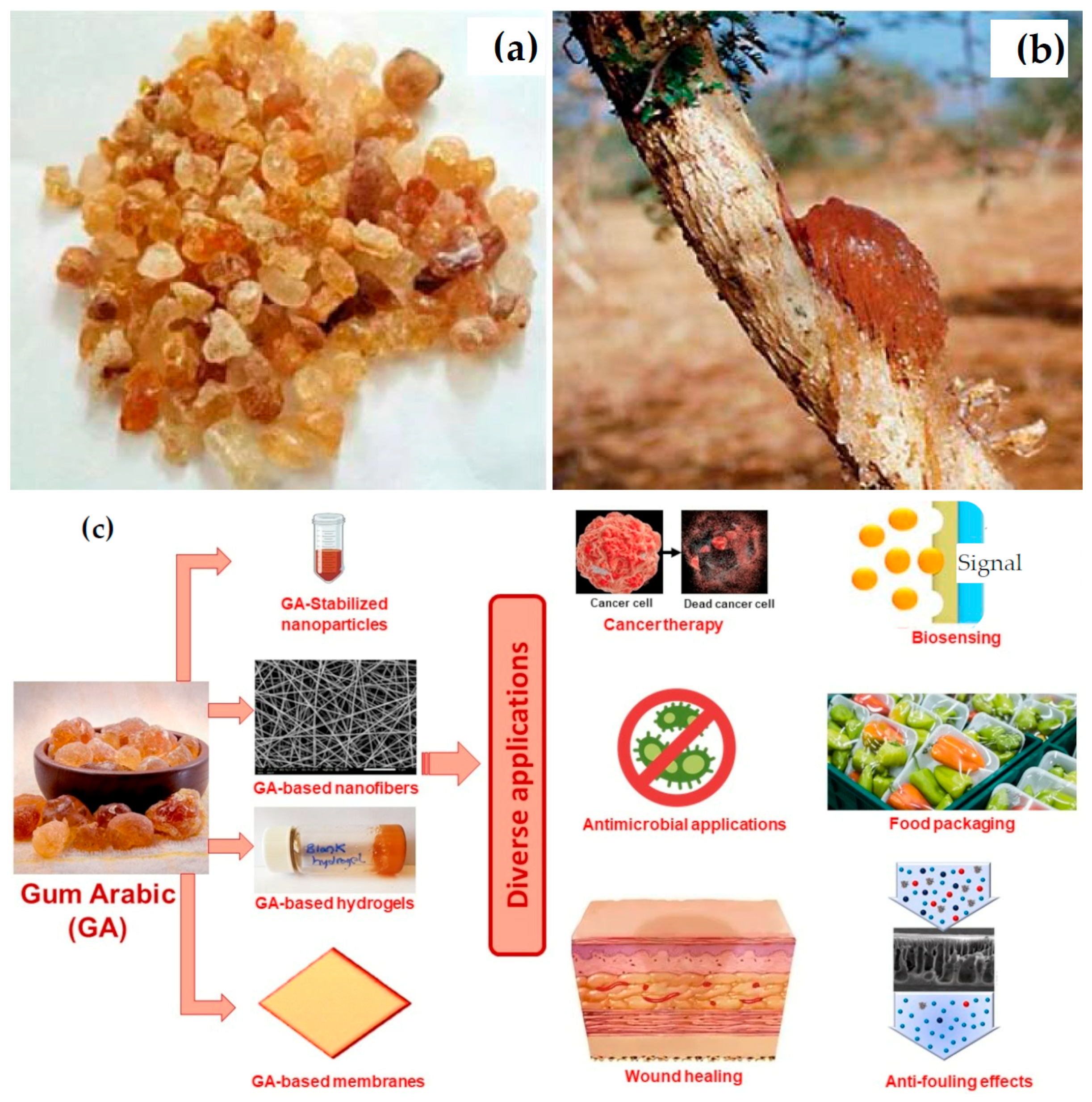 Nanomaterials 16 00407 g005 Nanomaterials 16 00407 g005