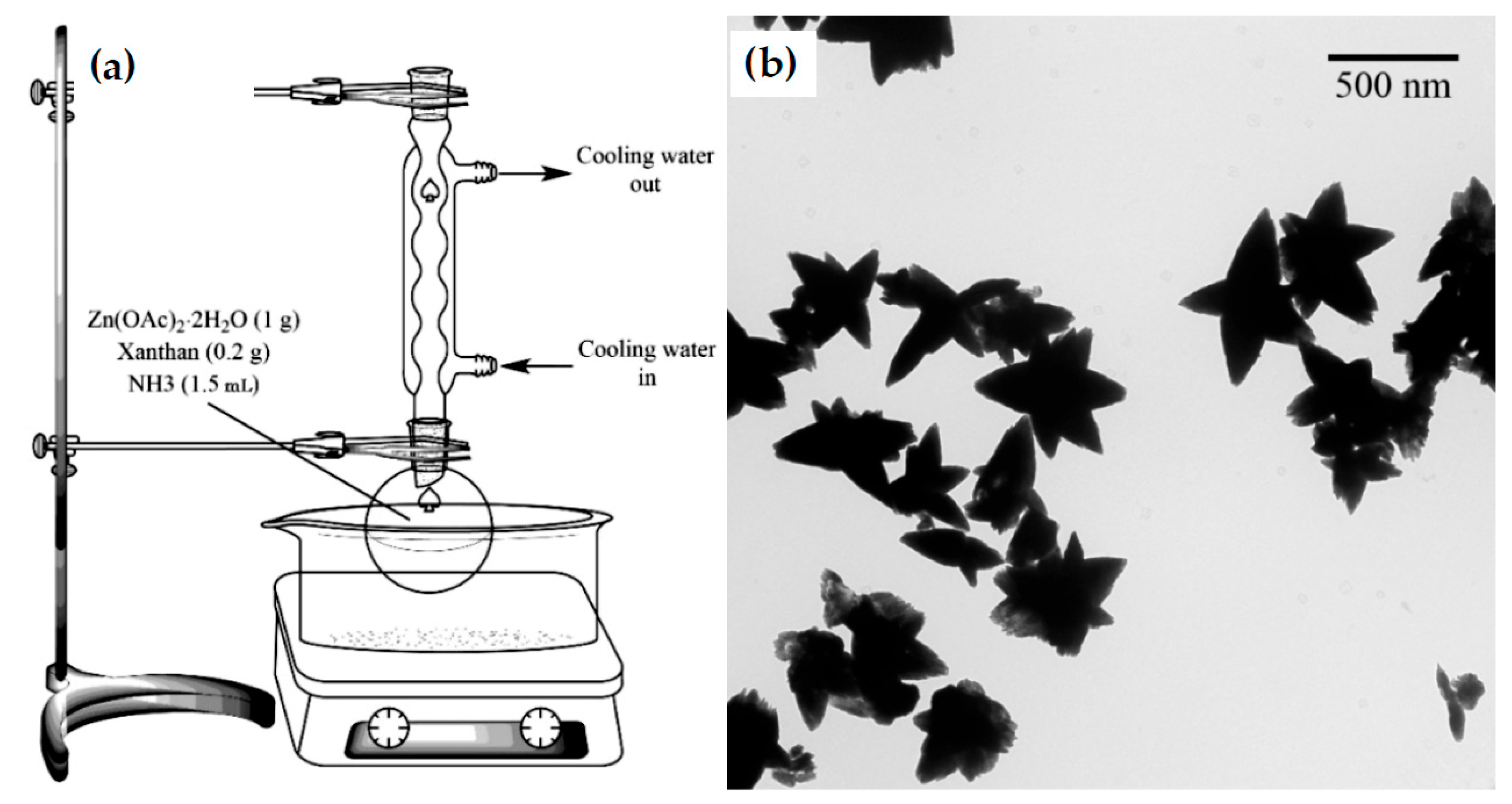 Nanomaterials 16 00407 g007 Nanomaterials 16 00407 g007
