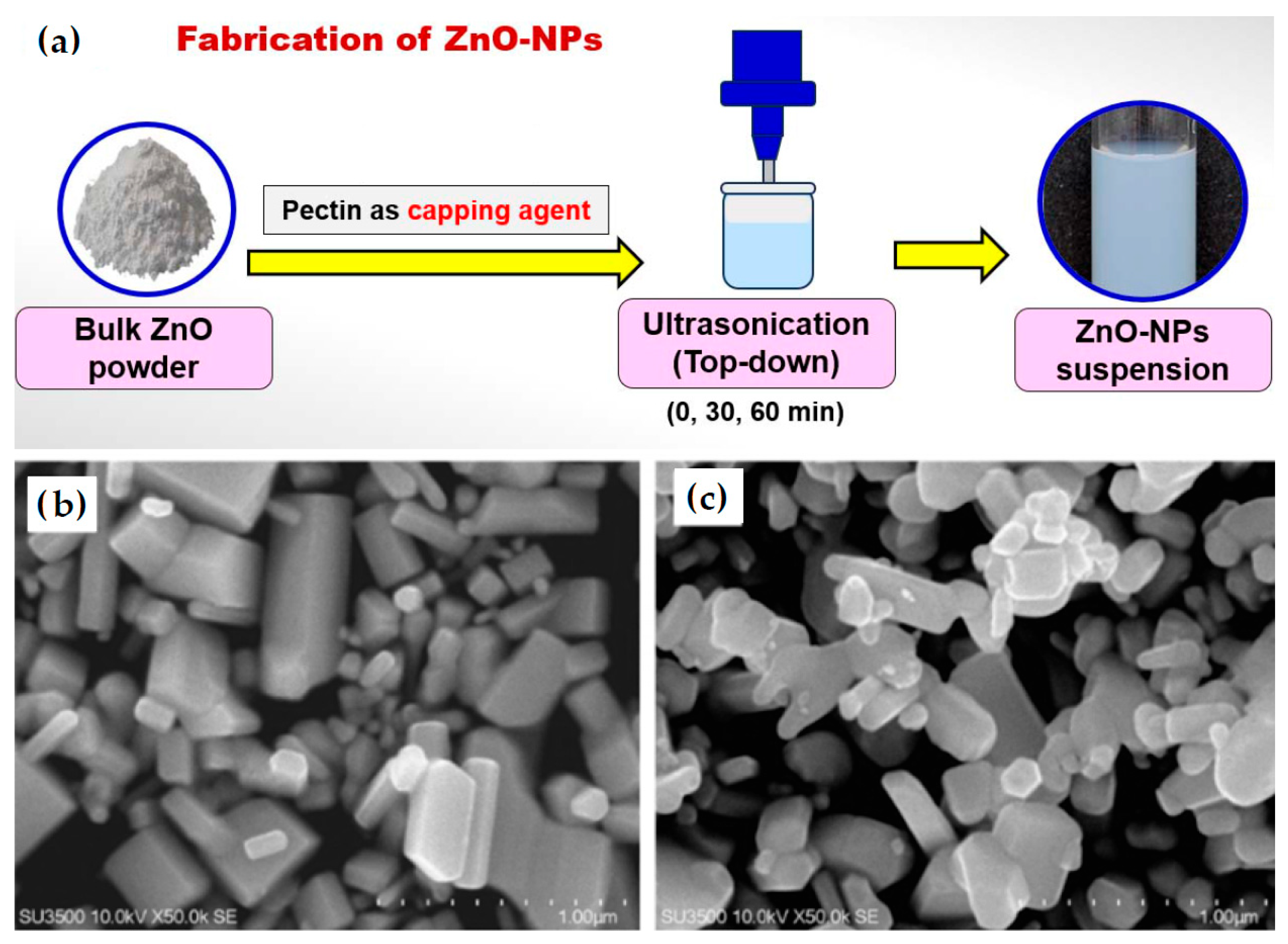 Nanomaterials 16 00407 g008 Nanomaterials 16 00407 g008
