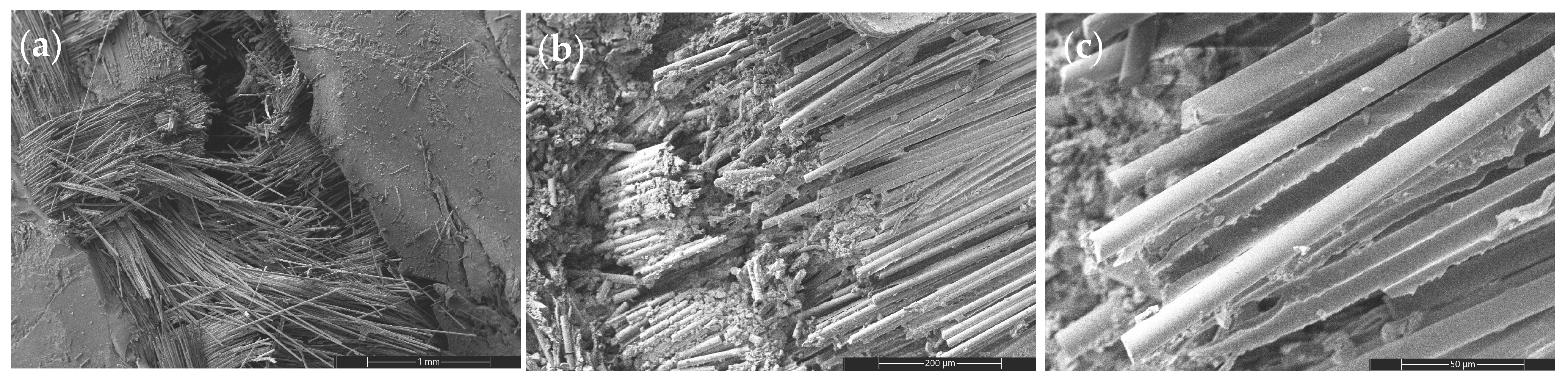 Nanomaterials 16 00408 g017