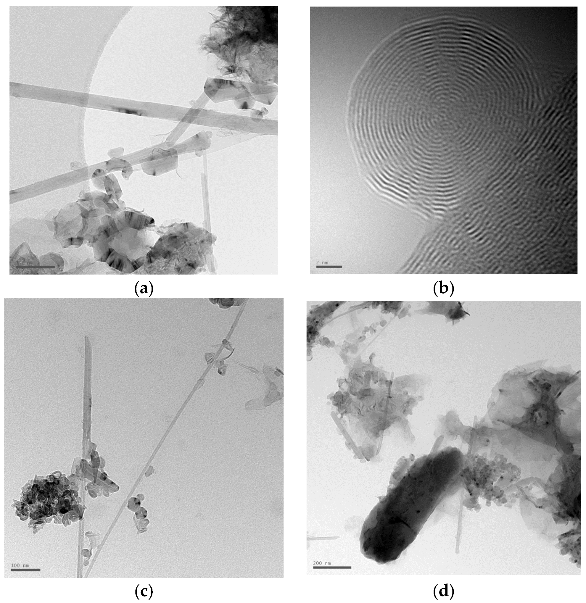 Nanomaterials 16 00409 g015