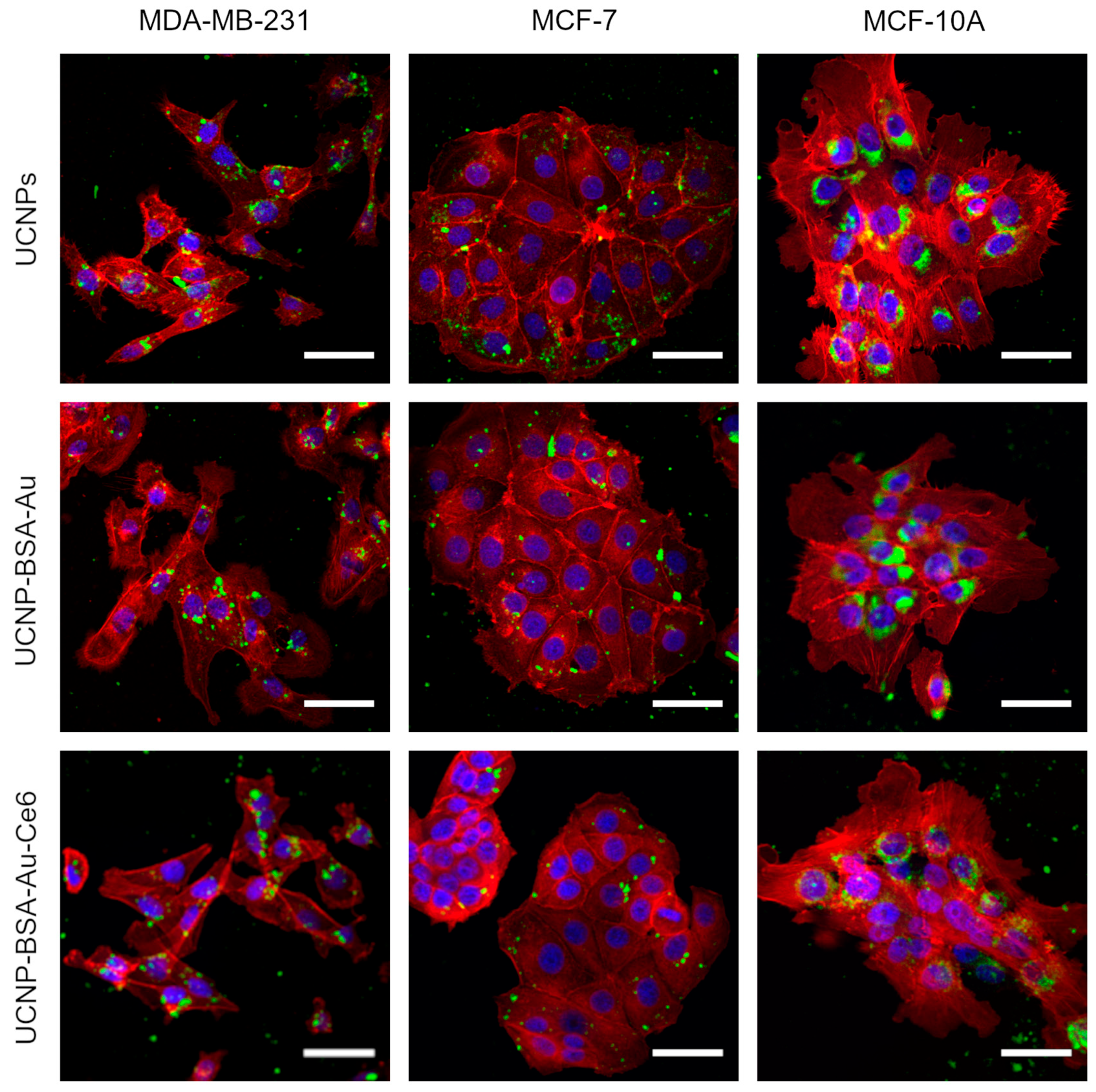 Nanomaterials 16 00417 g003