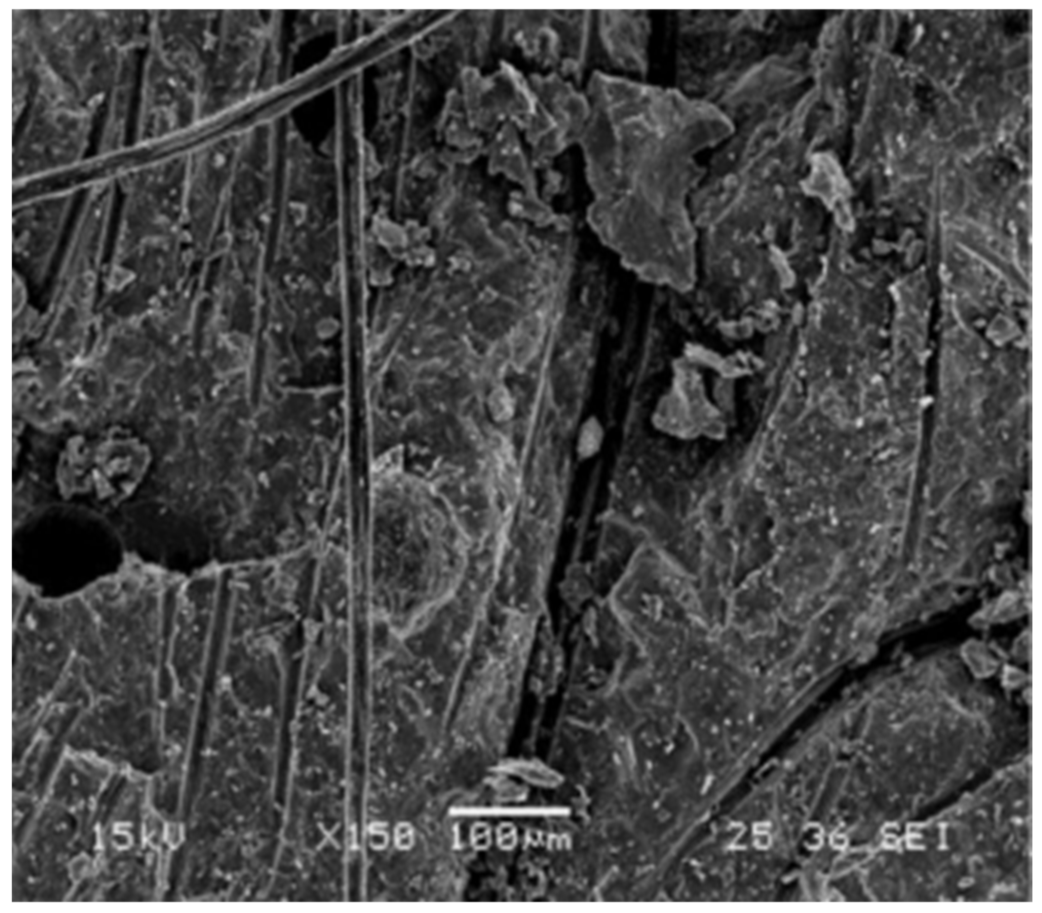 Nanomaterials 16 00426 g005 Nanomaterials 16 00426 g005