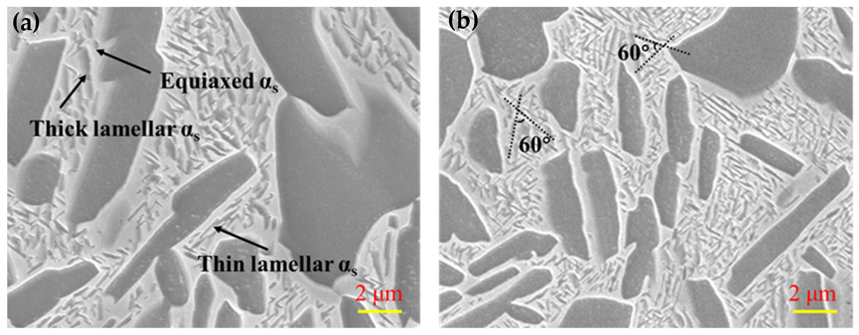 Nanomaterials 16 00442 g004 Nanomaterials 16 00442 g004
