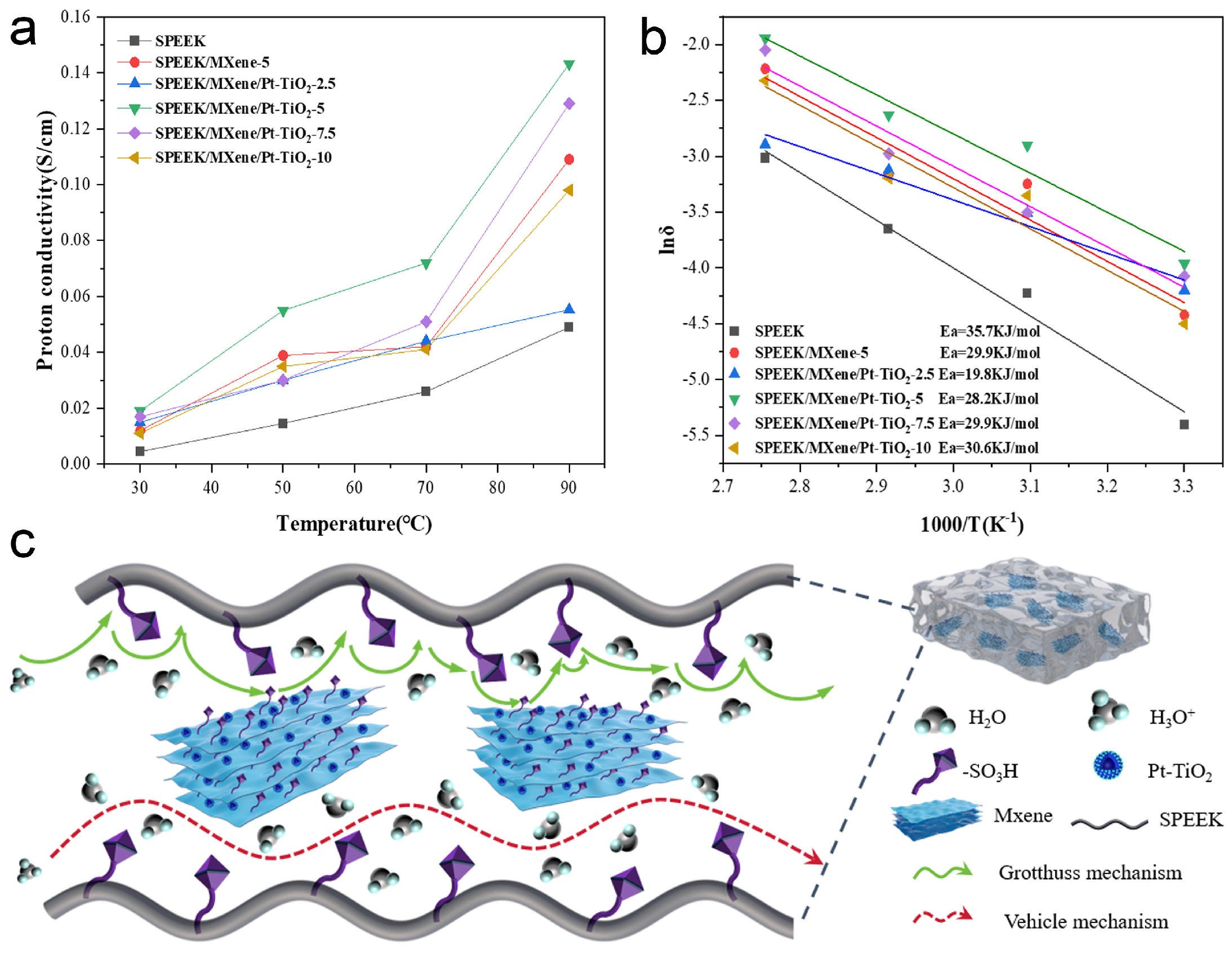 Nanomaterials 16 00446 g006