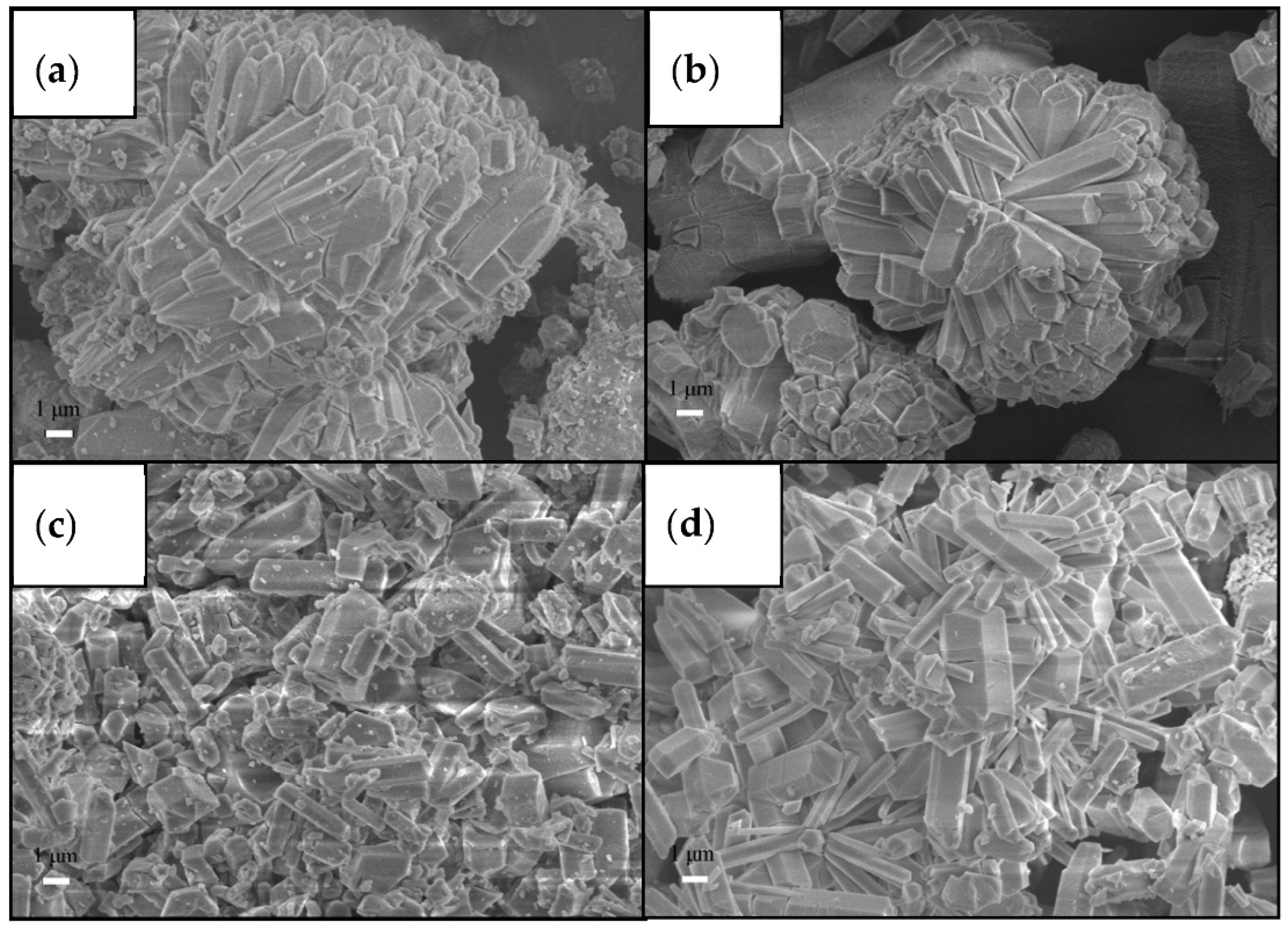 Nanomaterials 16 00454 g003