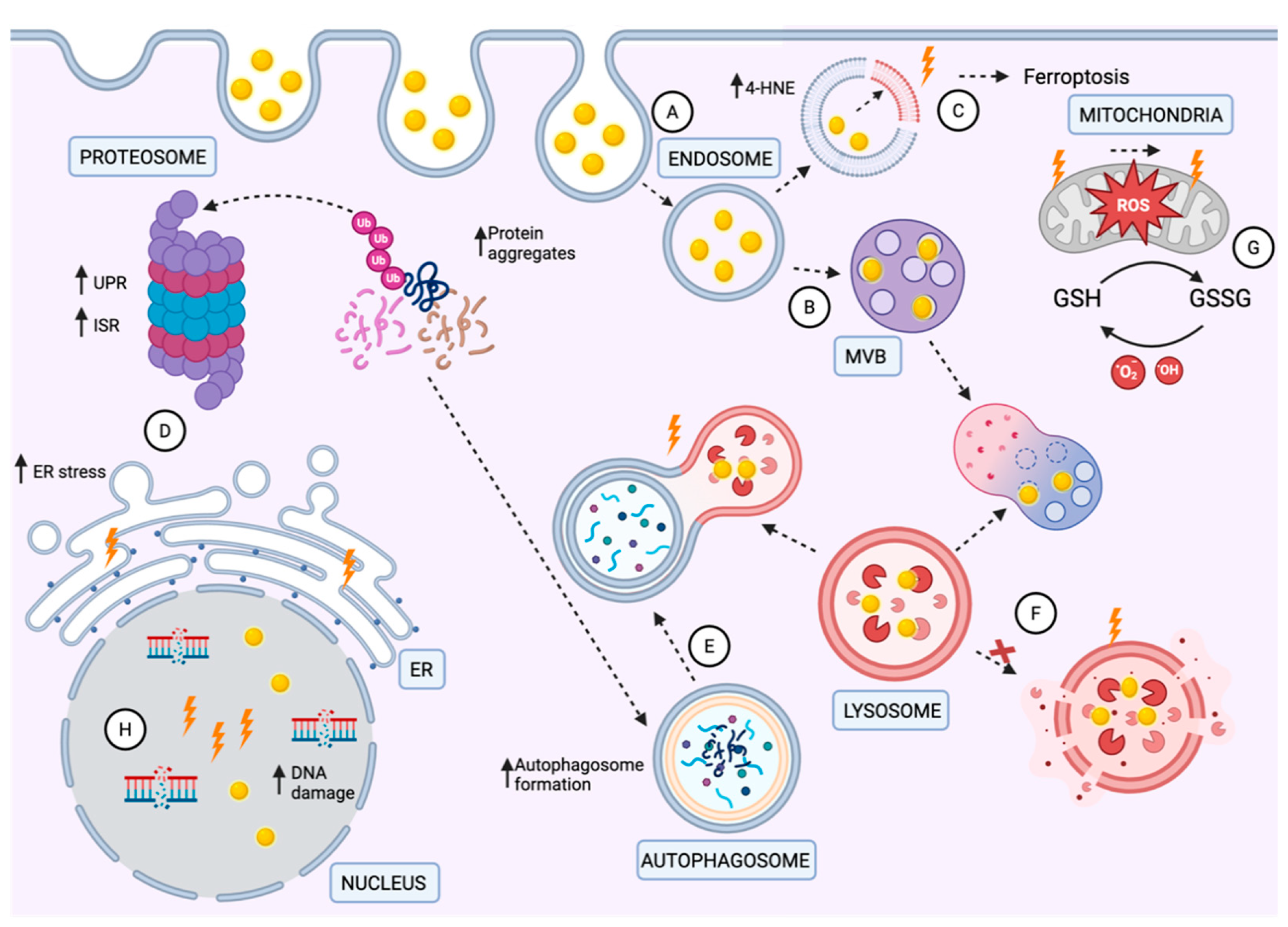 Nanomaterials 16 00457 g002