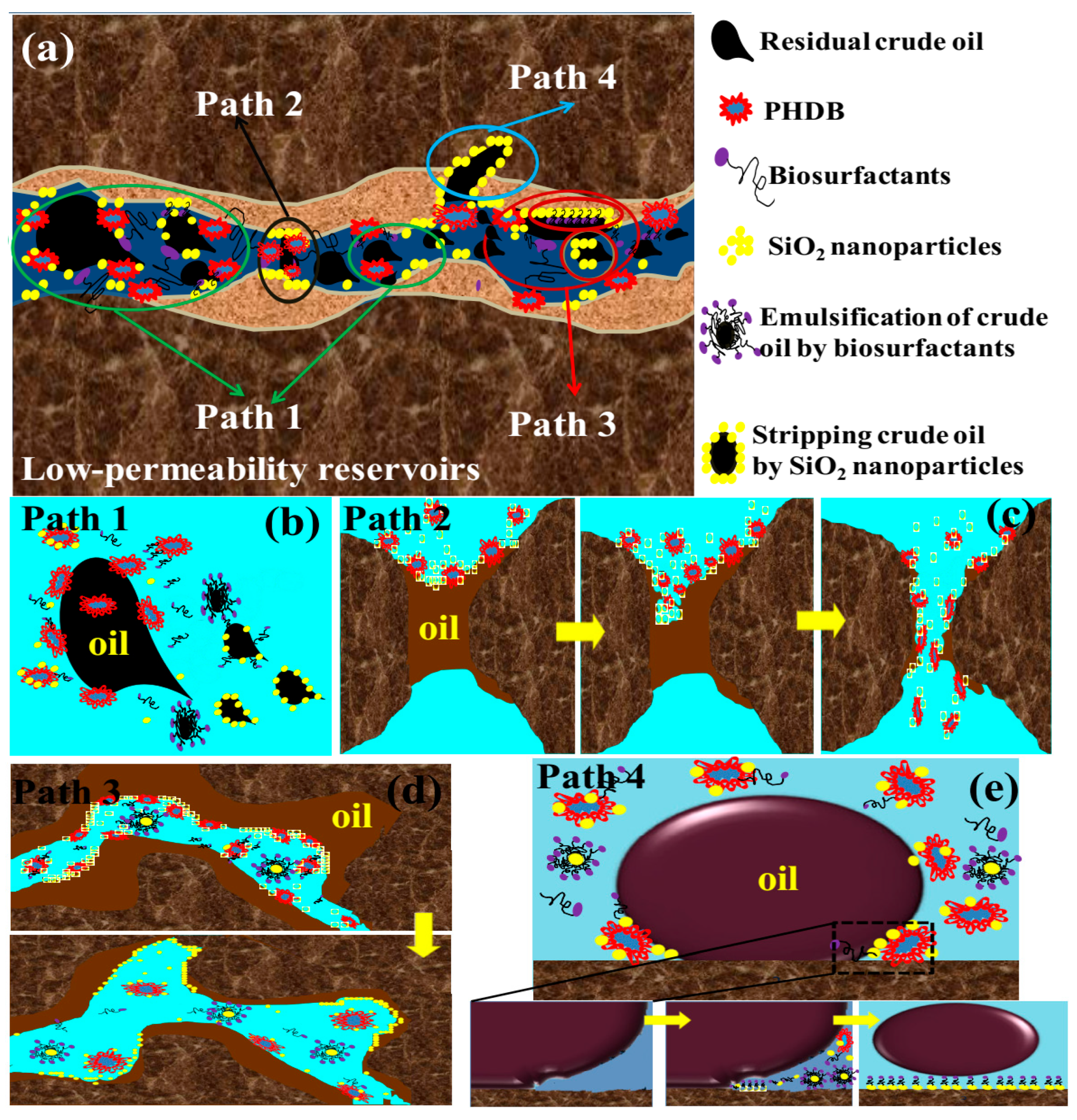 Nanomaterials 16 00464 g005