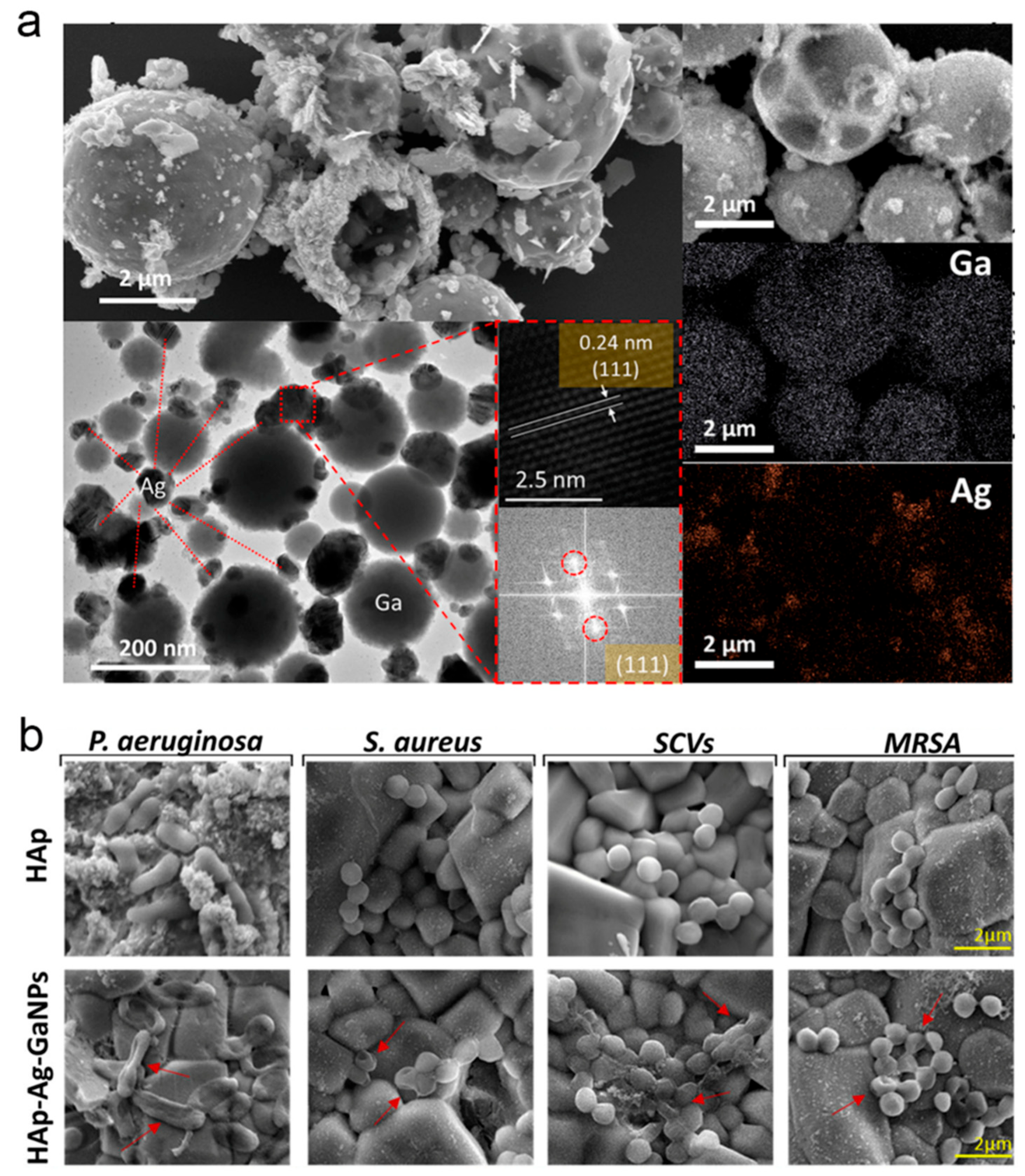 Nanomaterials 16 00471 g007