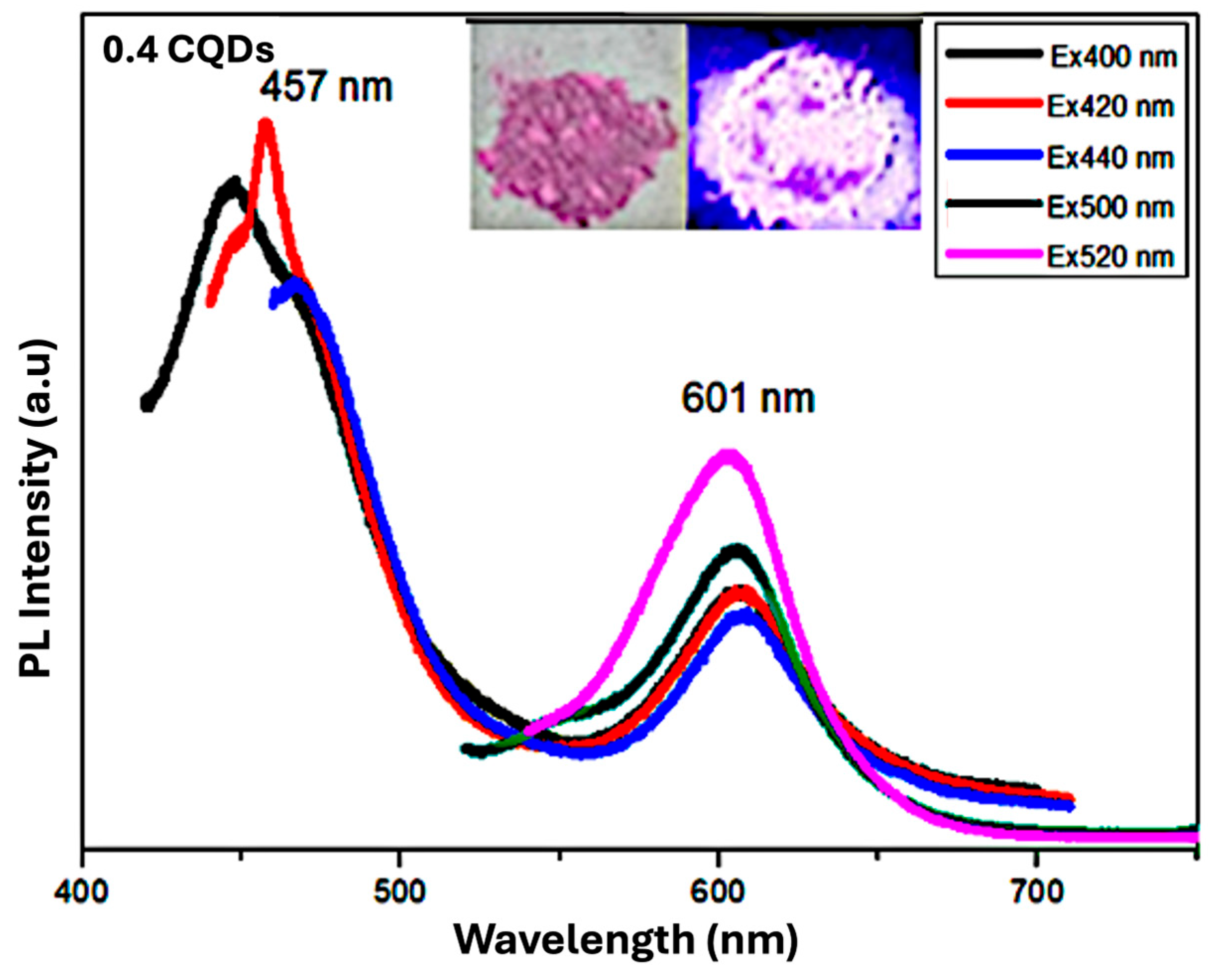 Nanomaterials 16 00482 g010