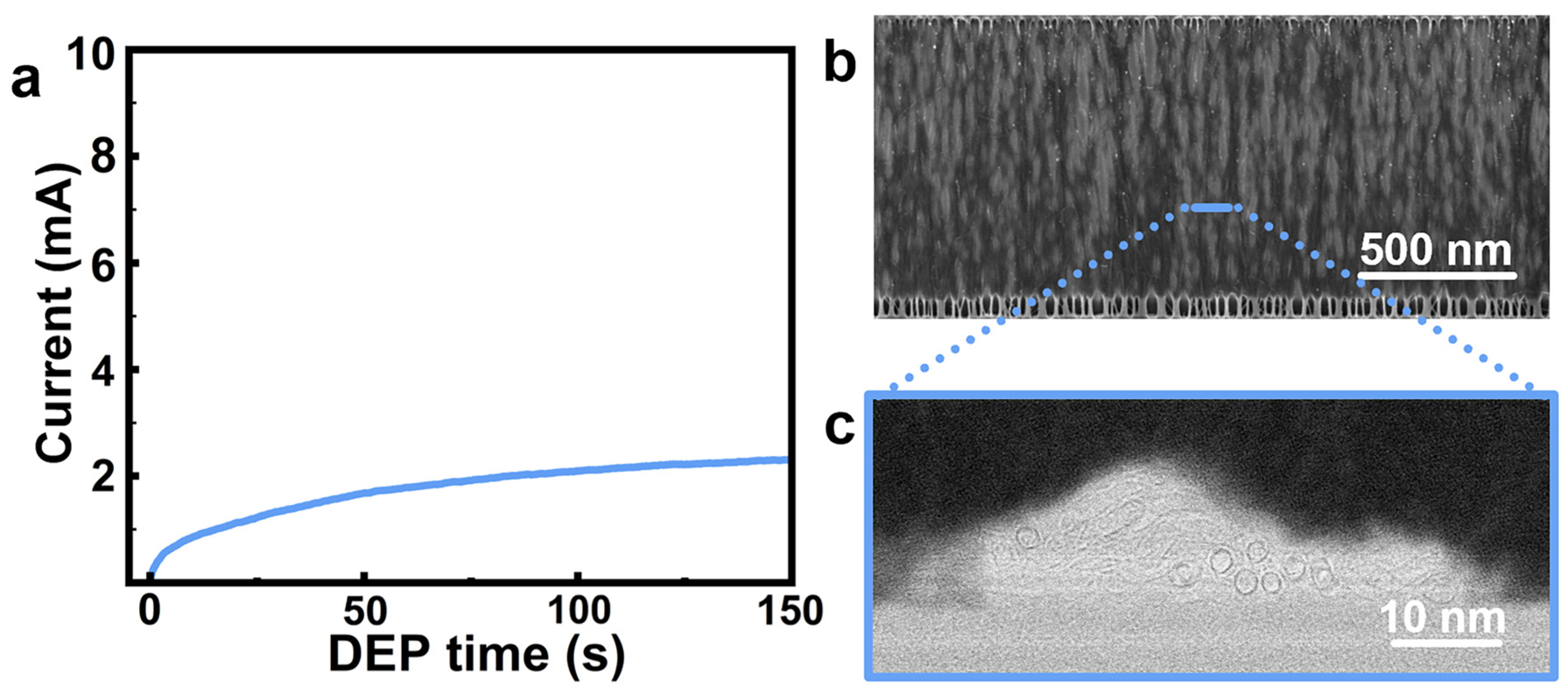 Nanomaterials 16 00512 g007 Nanomaterials 16 00512 g007