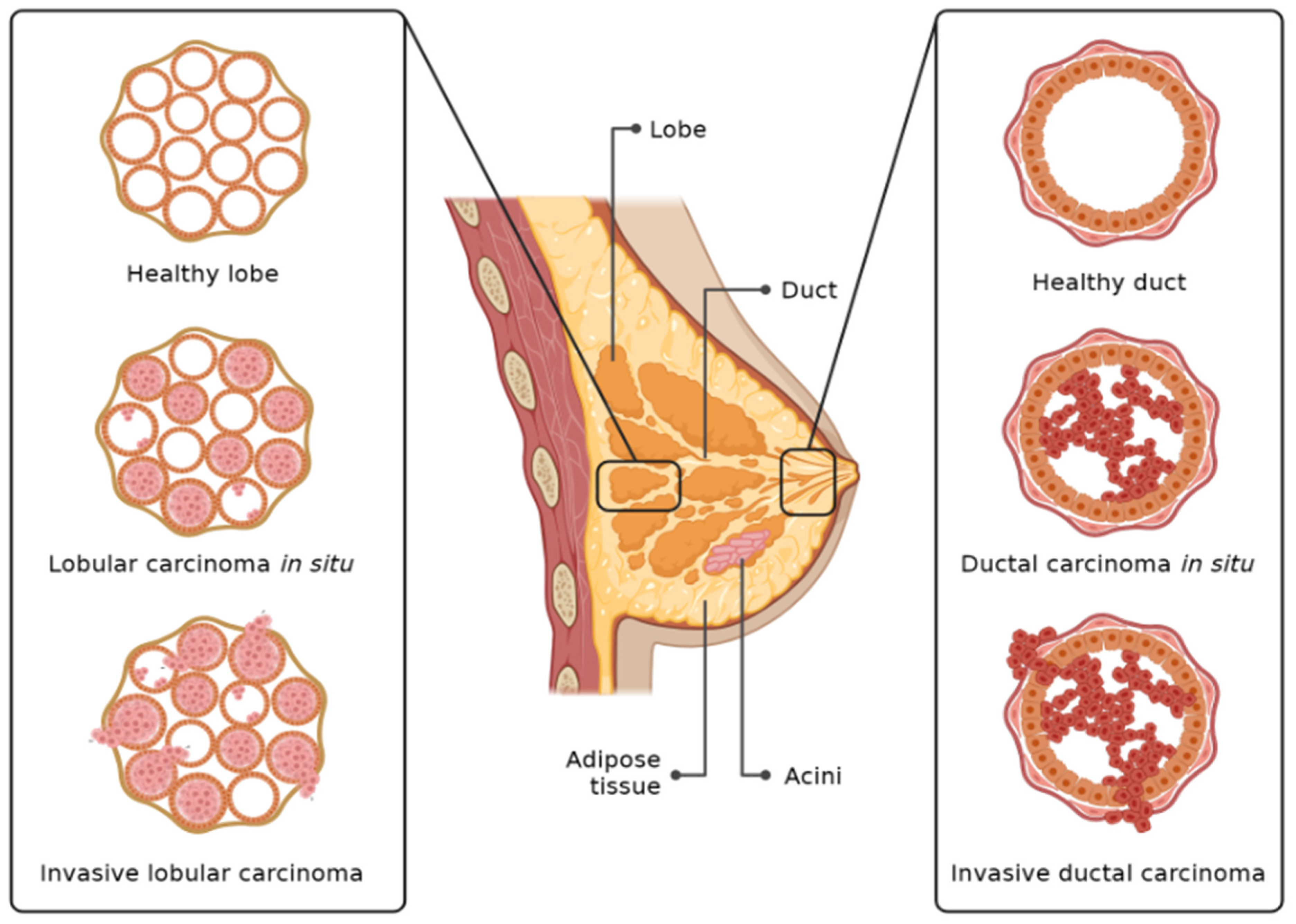 Nanomaterials 16 00515 g004 Nanomaterials 16 00515 g004