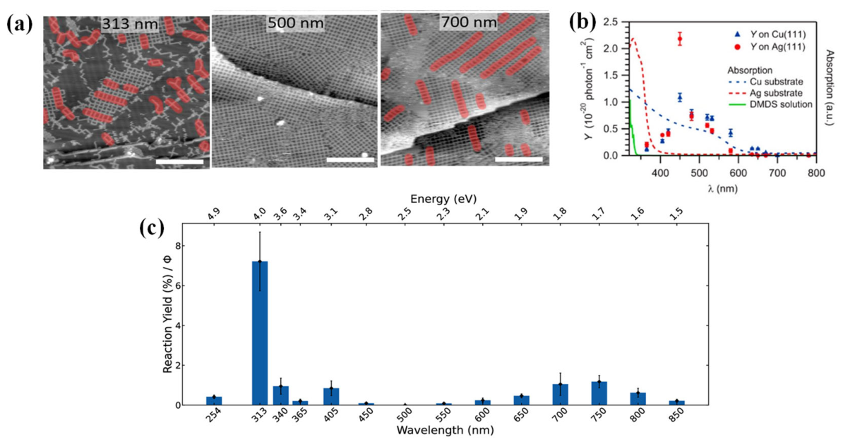 Nanomaterials 16 00534 g010 Nanomaterials 16 00534 g010