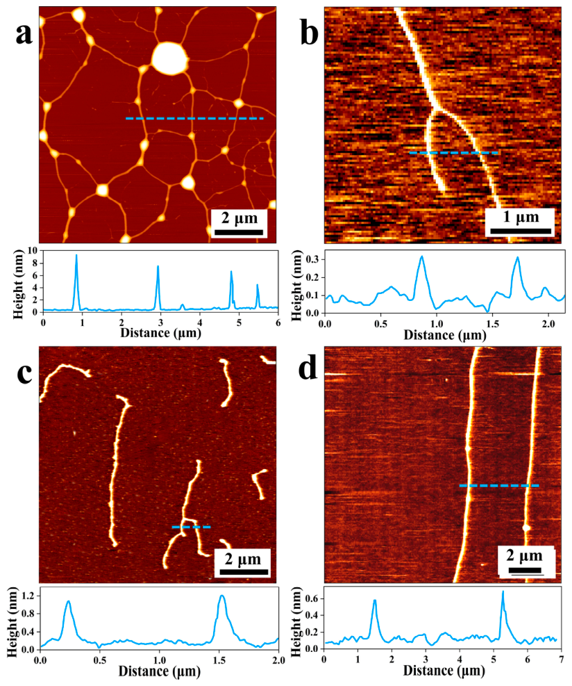 Nanomaterials 16 00535 g001 Nanomaterials 16 00535 g001