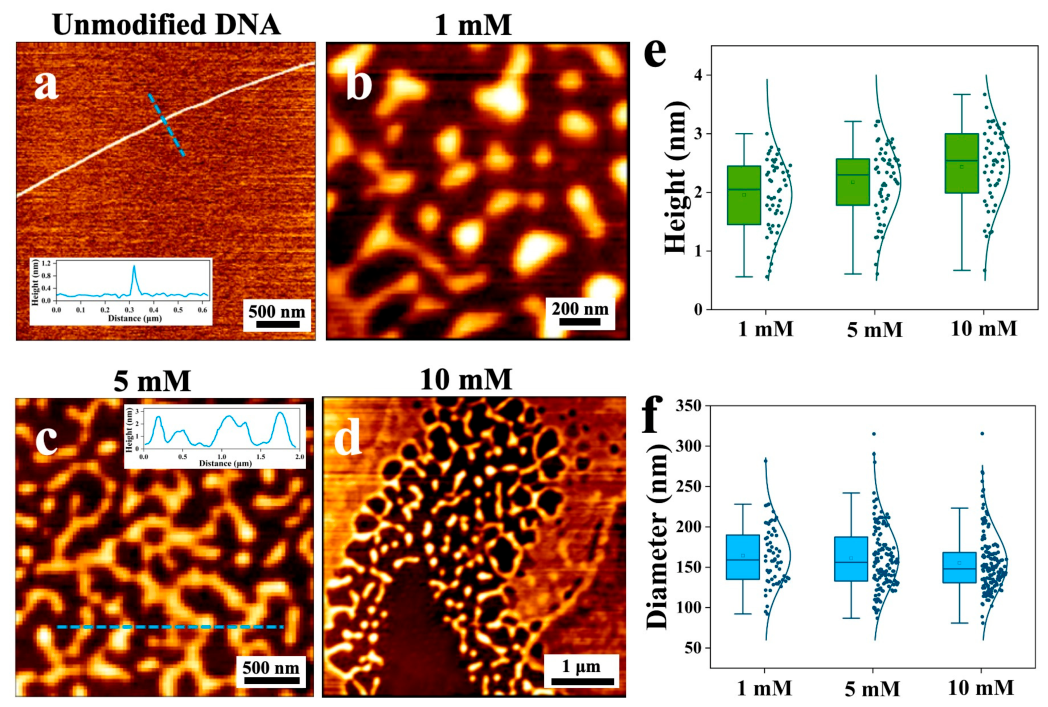 Nanomaterials 16 00535 g003 Nanomaterials 16 00535 g003