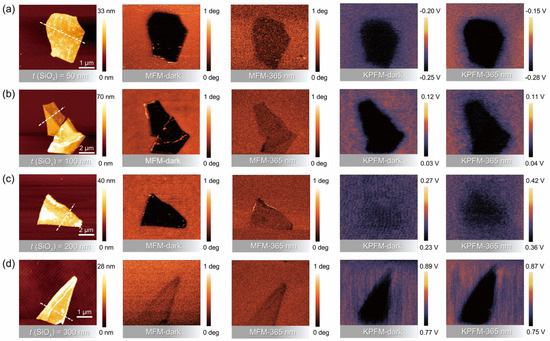 その他 shio Room Temperature Ferromagnetism Engineered in Two-Dimensional