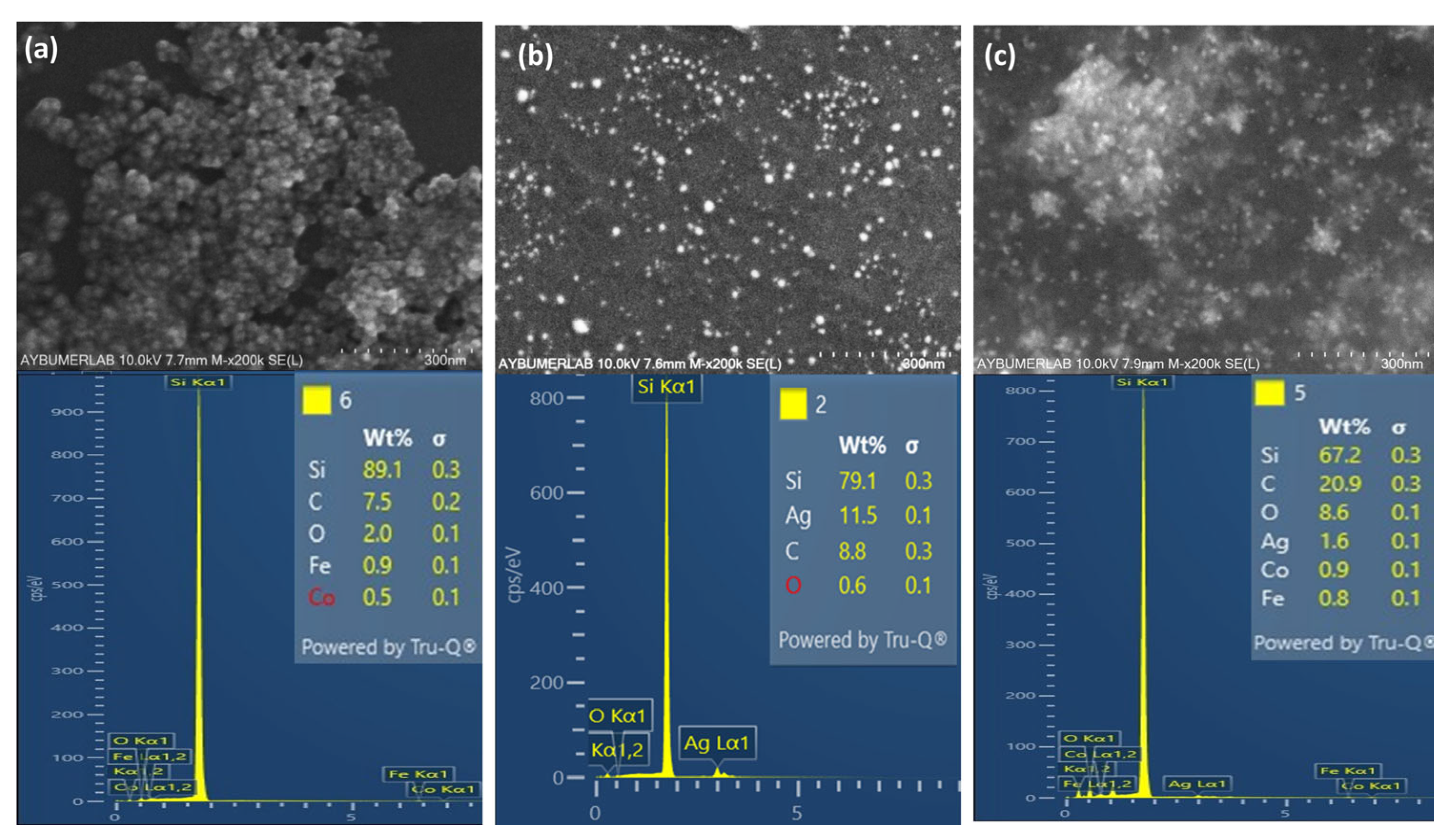 Nanomaterials 16 00608 g009