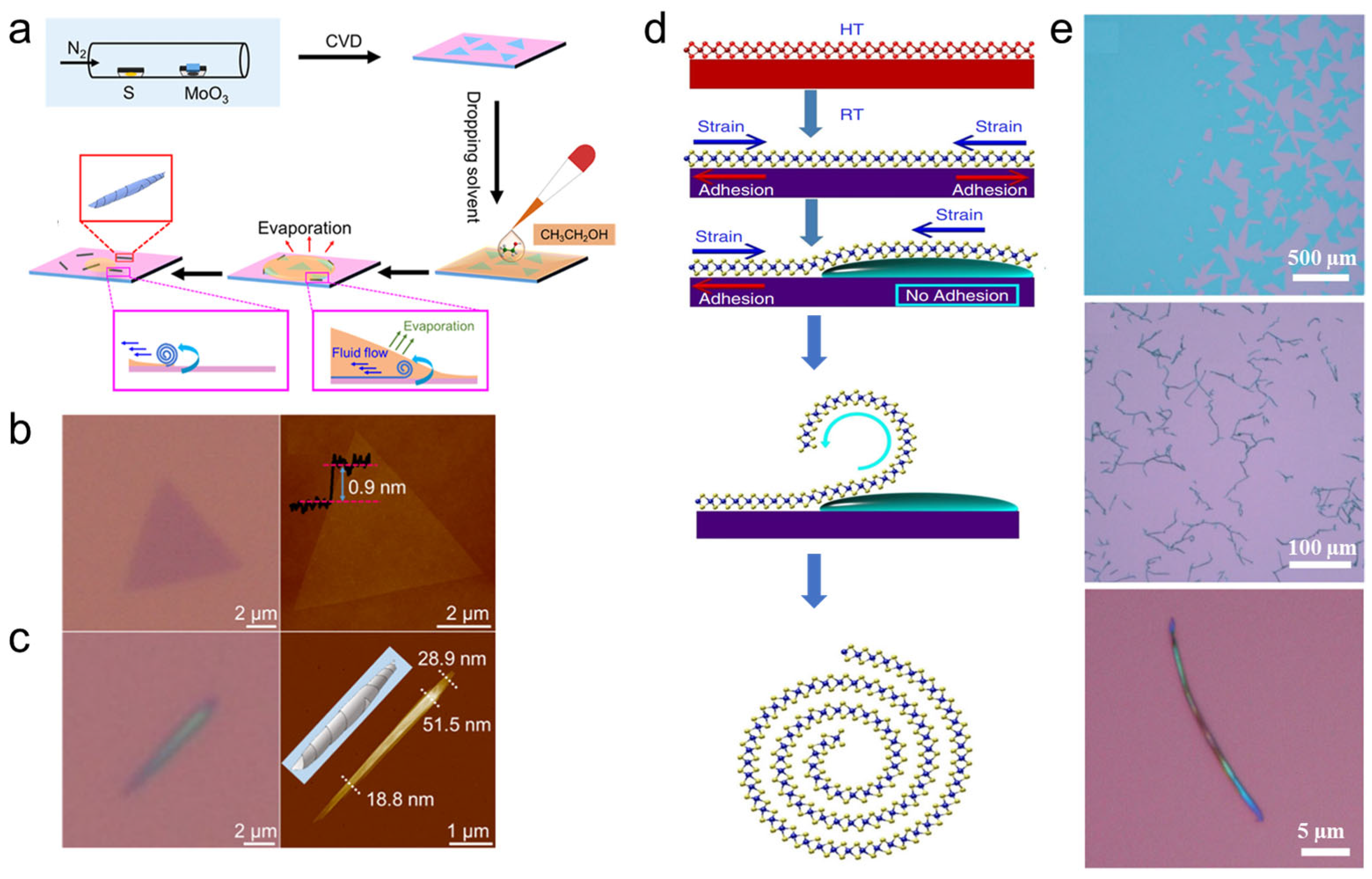 Nanomaterials 16 00613 g003 Nanomaterials 16 00613 g003