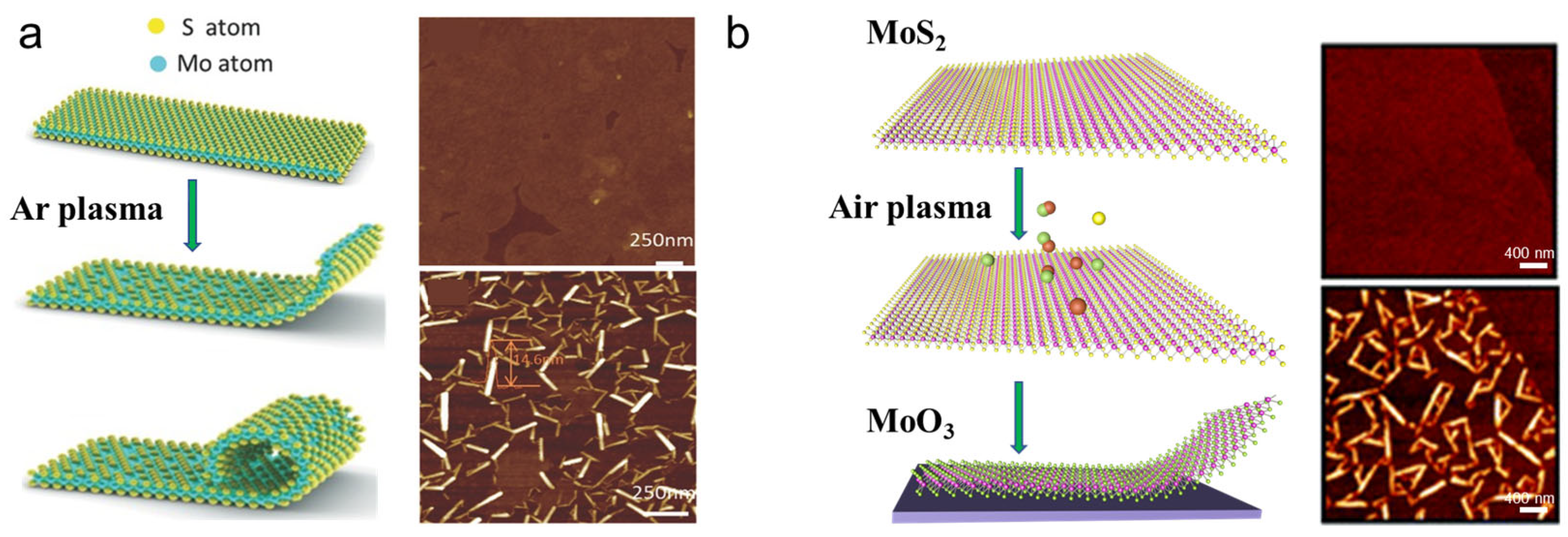 Nanomaterials 16 00613 g008 Nanomaterials 16 00613 g008