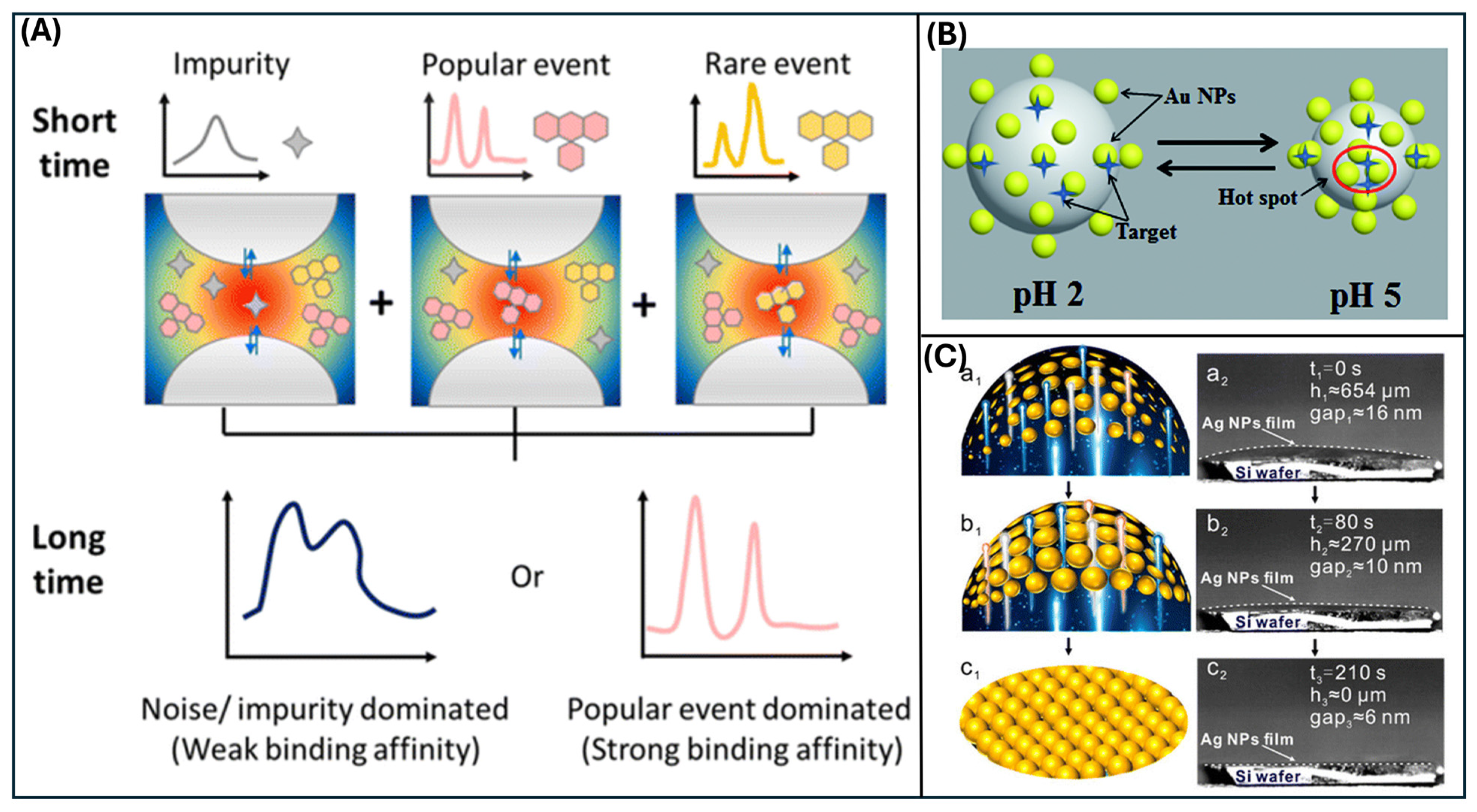 Nanomaterials 16 00628 g003 Nanomaterials 16 00628 g003