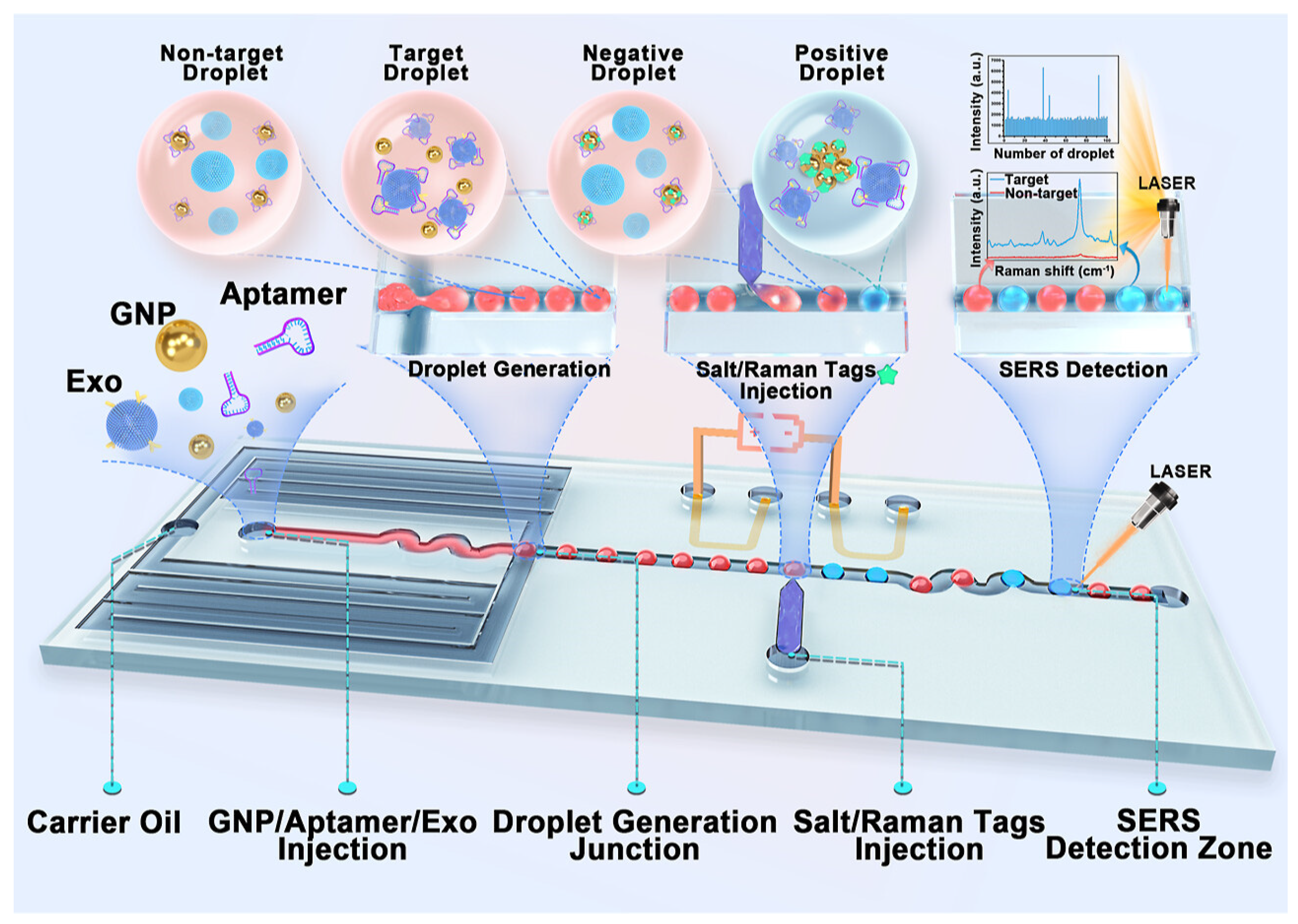 Nanomaterials 16 00628 g020 Nanomaterials 16 00628 g020