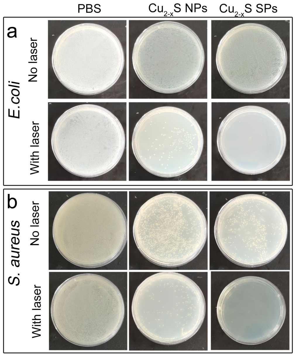 Nanomaterials 16 00636 g004 Nanomaterials 16 00636 g004