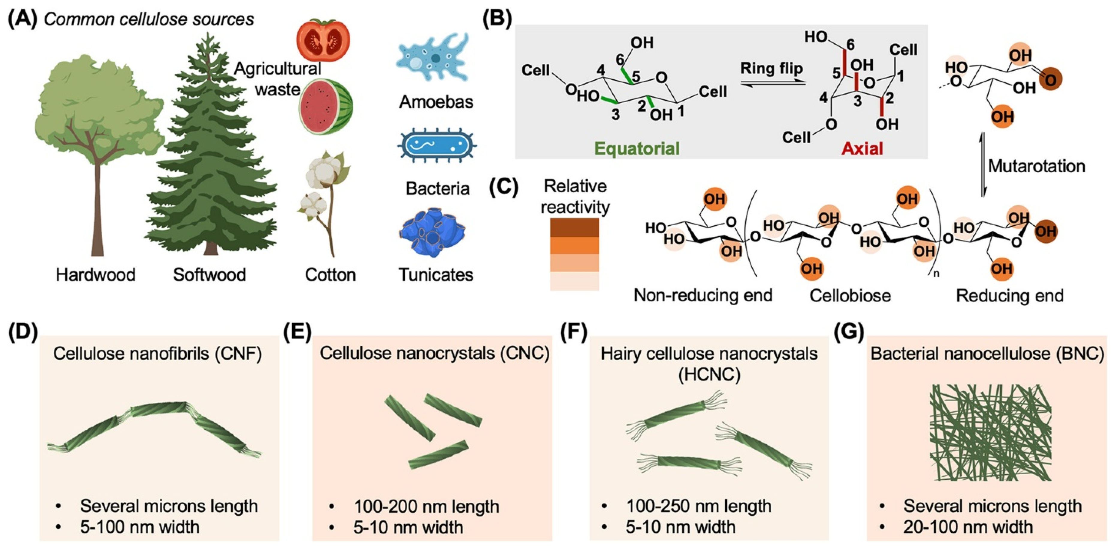 Nanomaterials 16 00645 g001 Nanomaterials 16 00645 g001