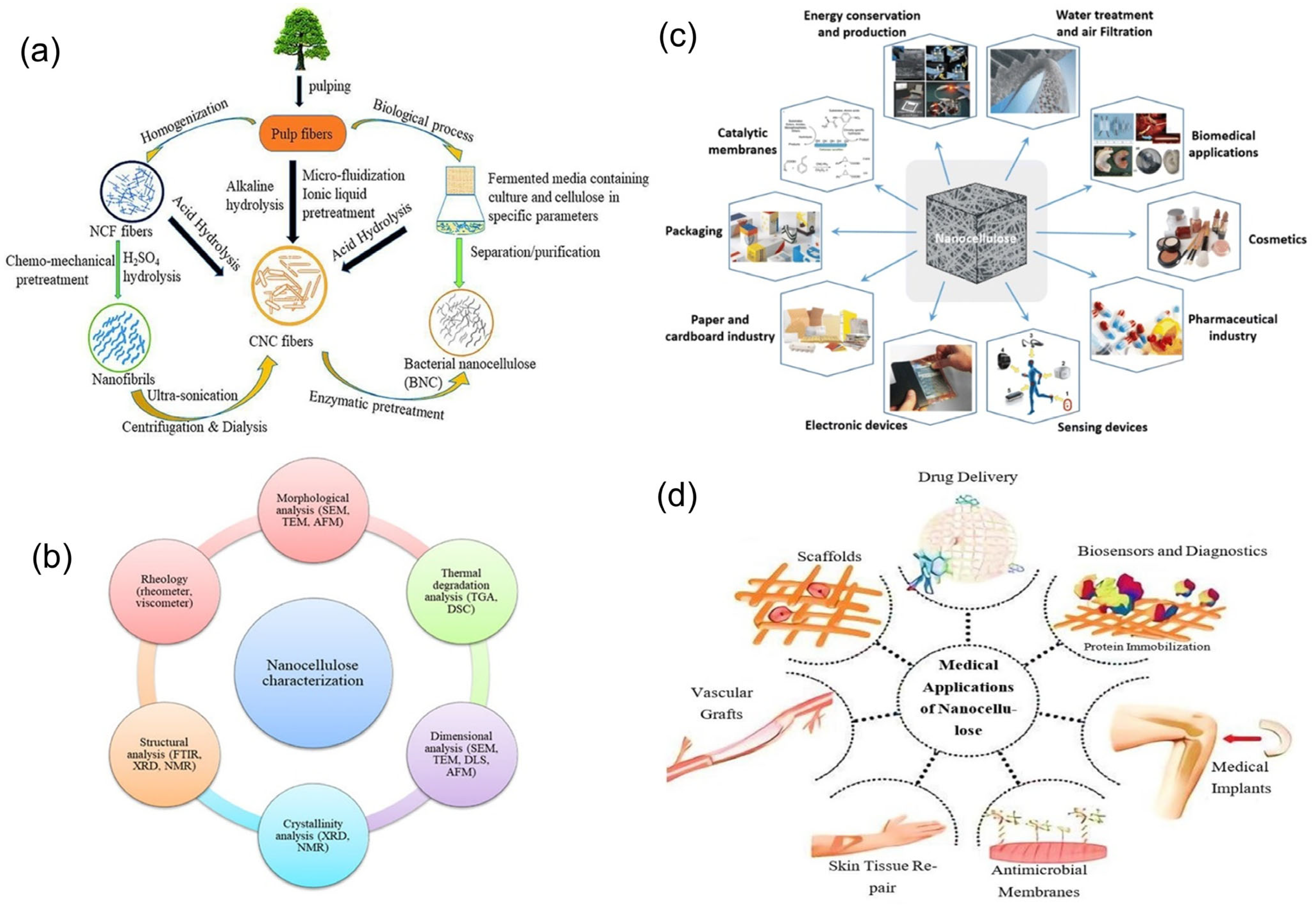 Nanomaterials 16 00645 g002 Nanomaterials 16 00645 g002