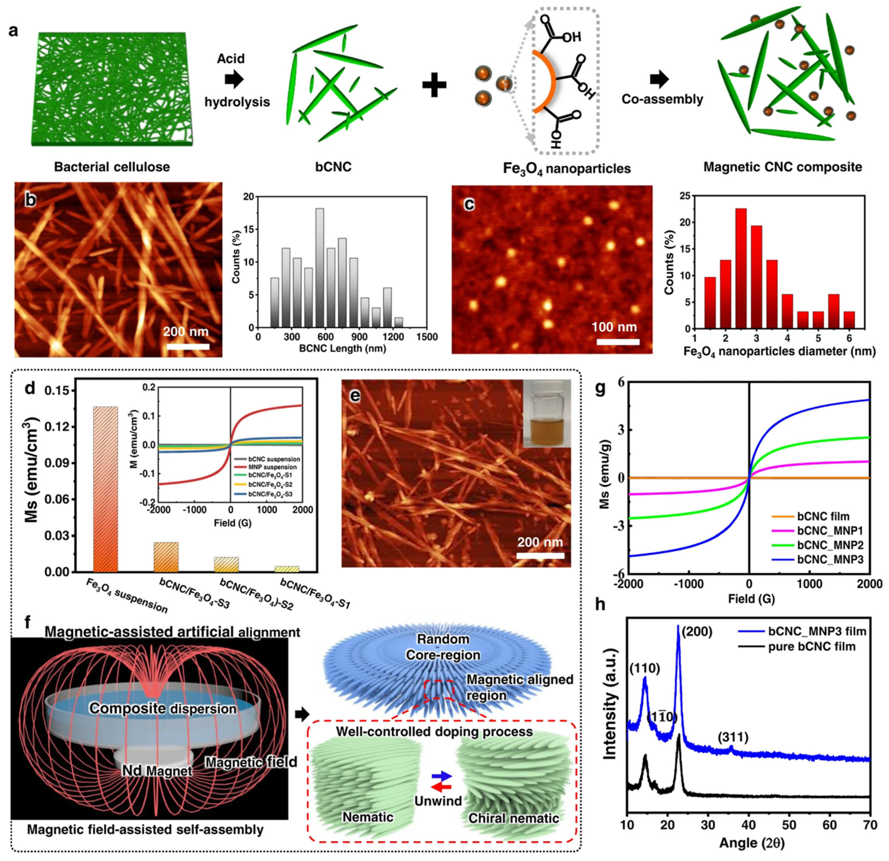 Nanomaterials 16 00645 g006 Nanomaterials 16 00645 g006