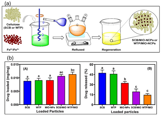 Magnetic Cellulose Nanocrystal Composites: Synthesis, Properties