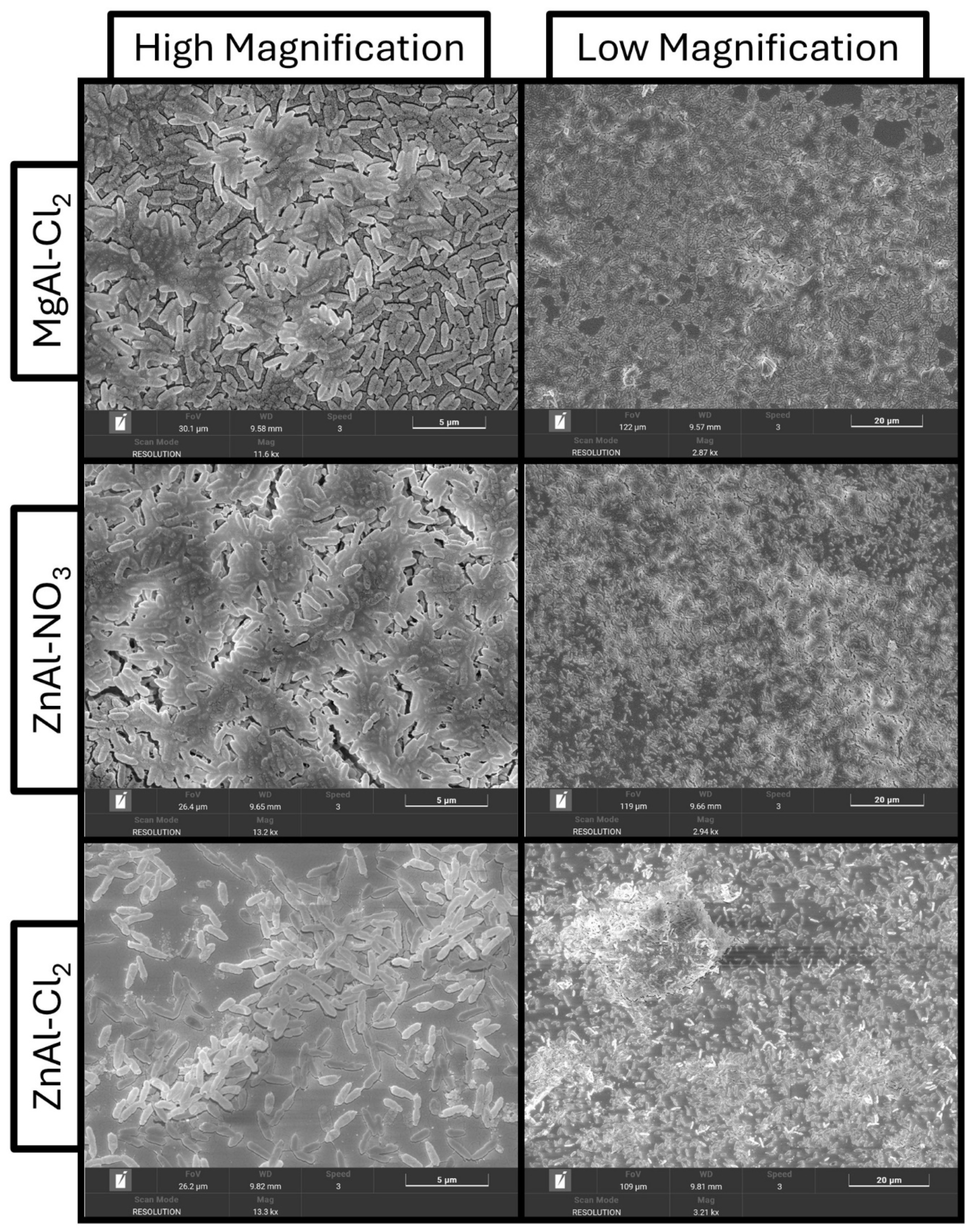 Nanomaterials 16 00666 g023