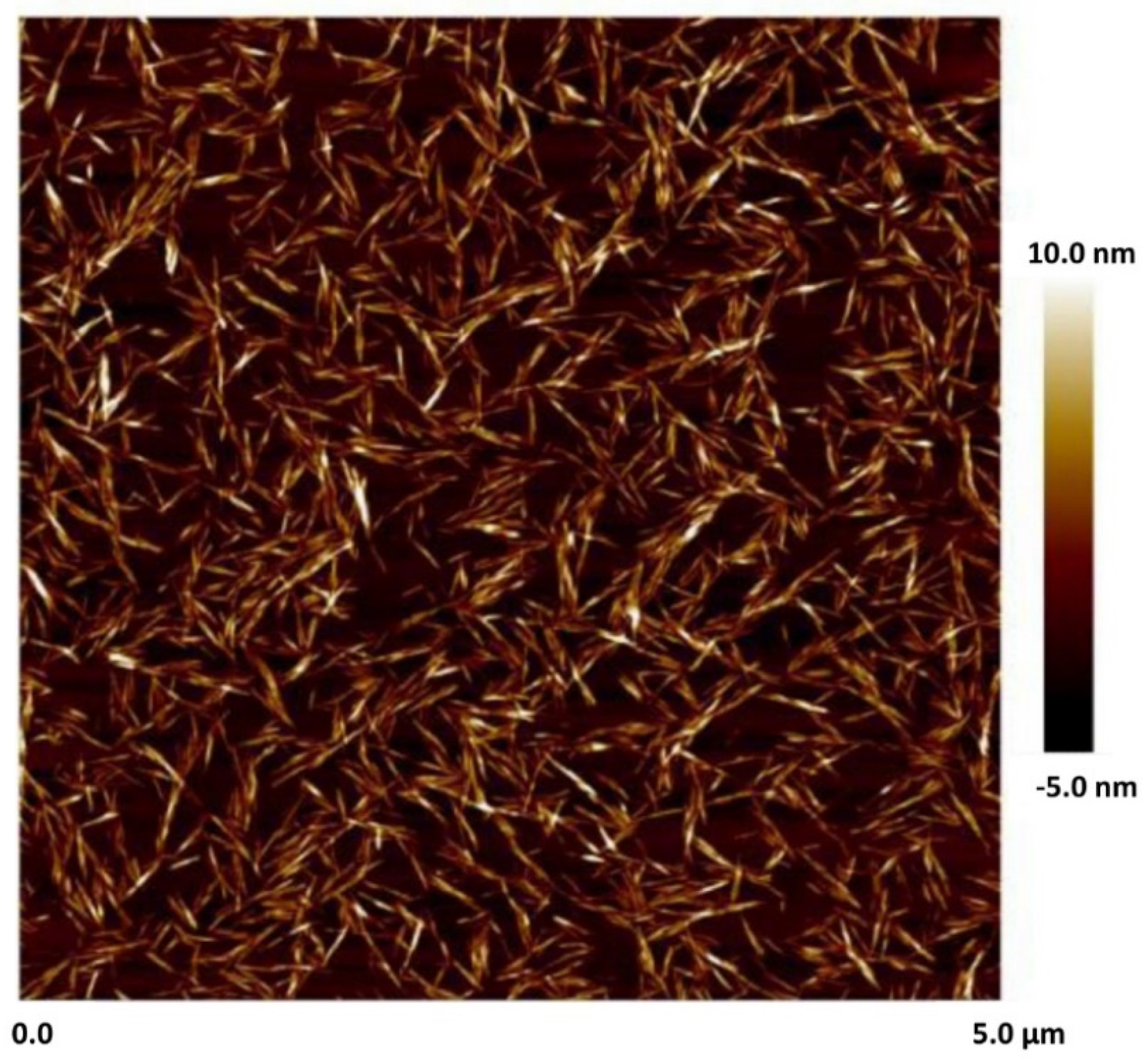 Nanomaterials 16 00676 g005 Nanomaterials 16 00676 g005
