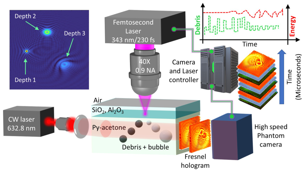 Nanomaterials 16 00692 g005