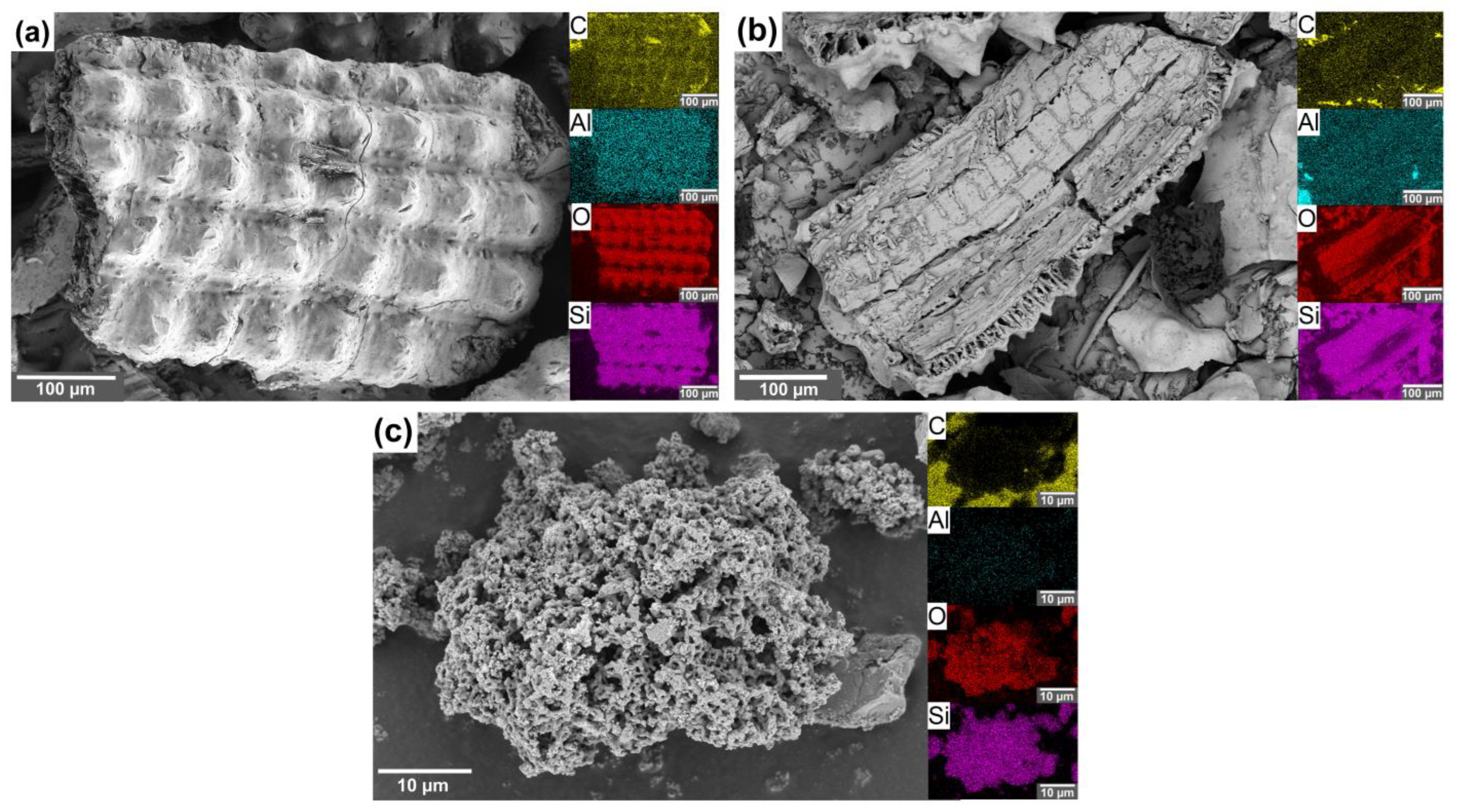 Nanomaterials 16 00694 g002