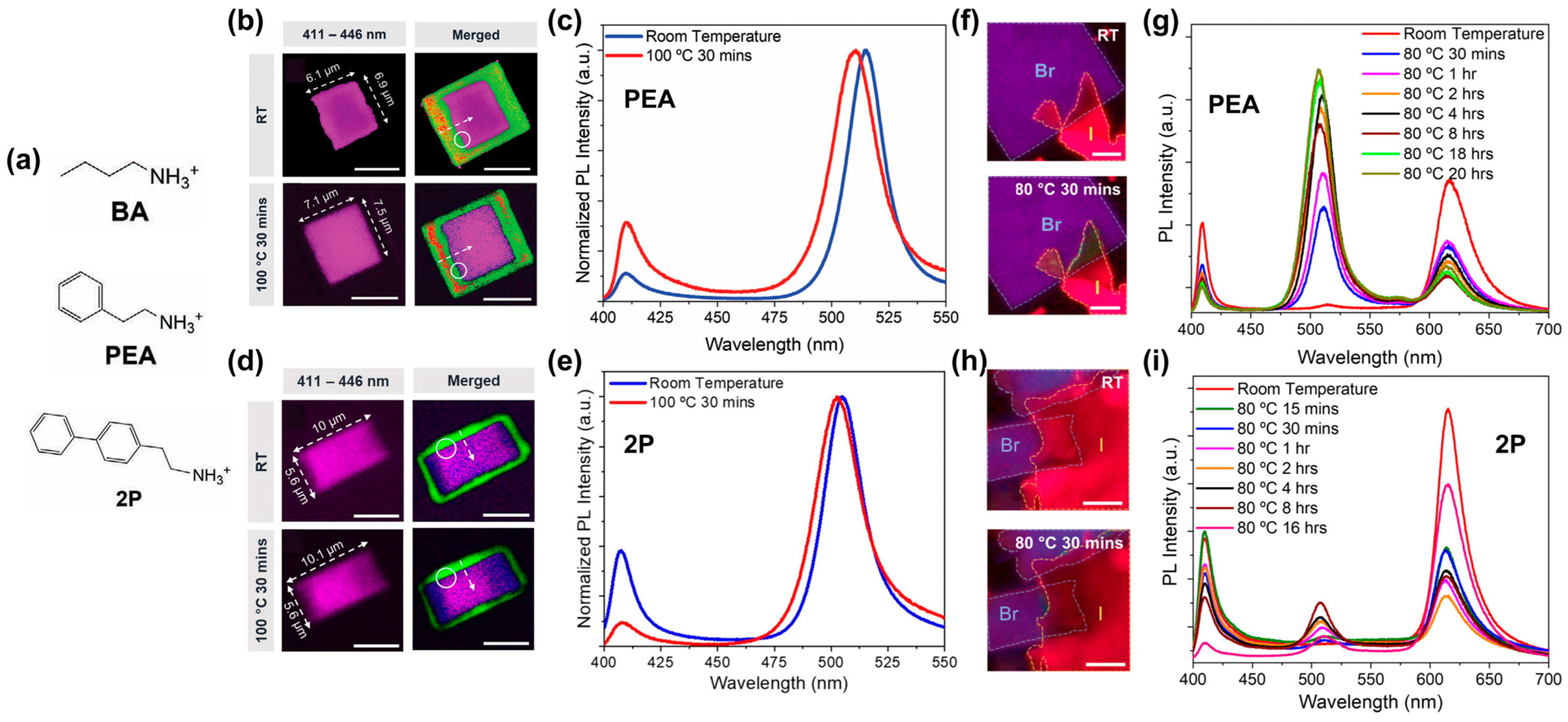 Nanomaterials 16 00696 g003 Nanomaterials 16 00696 g003