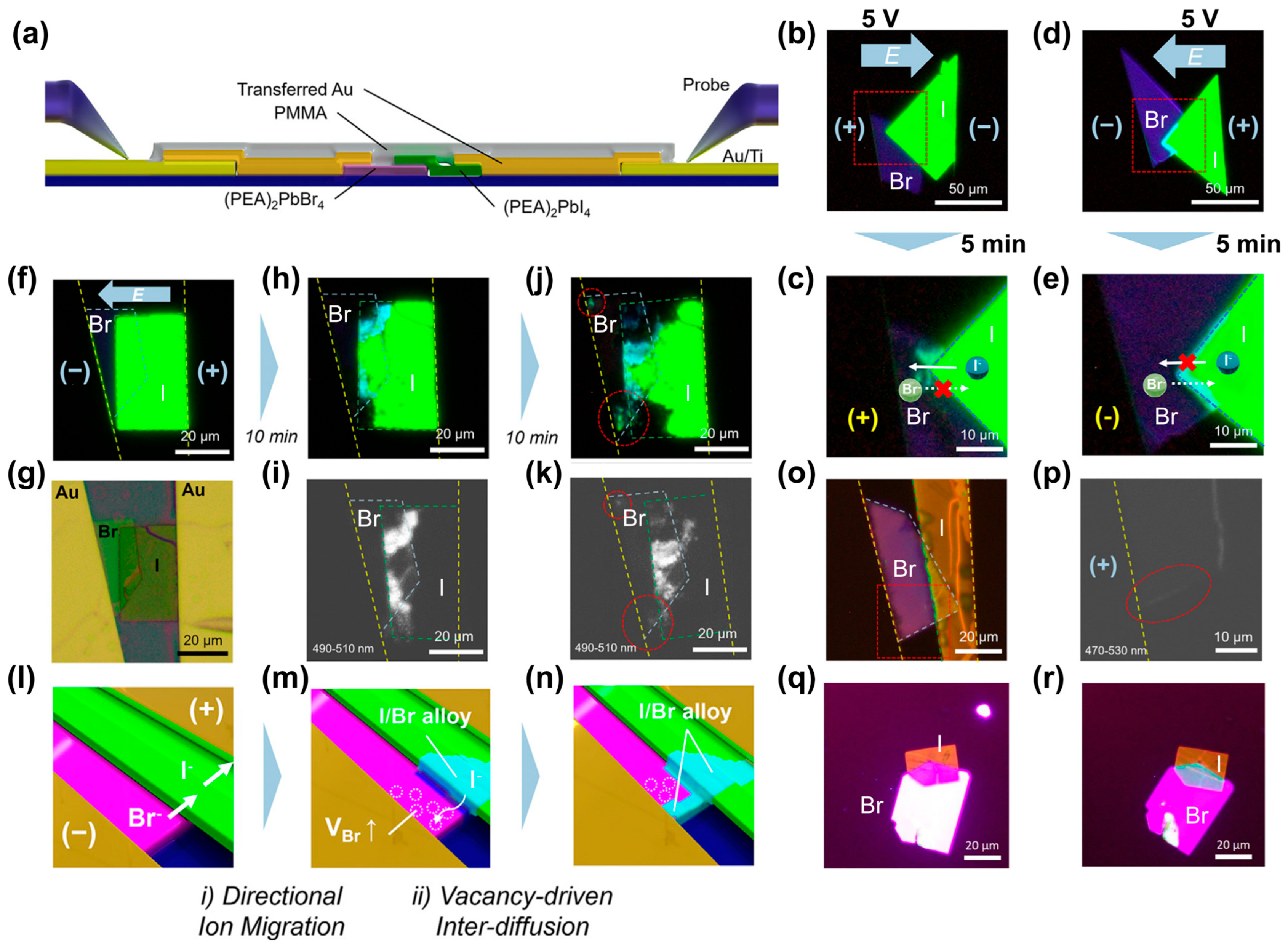 Nanomaterials 16 00696 g004 Nanomaterials 16 00696 g004