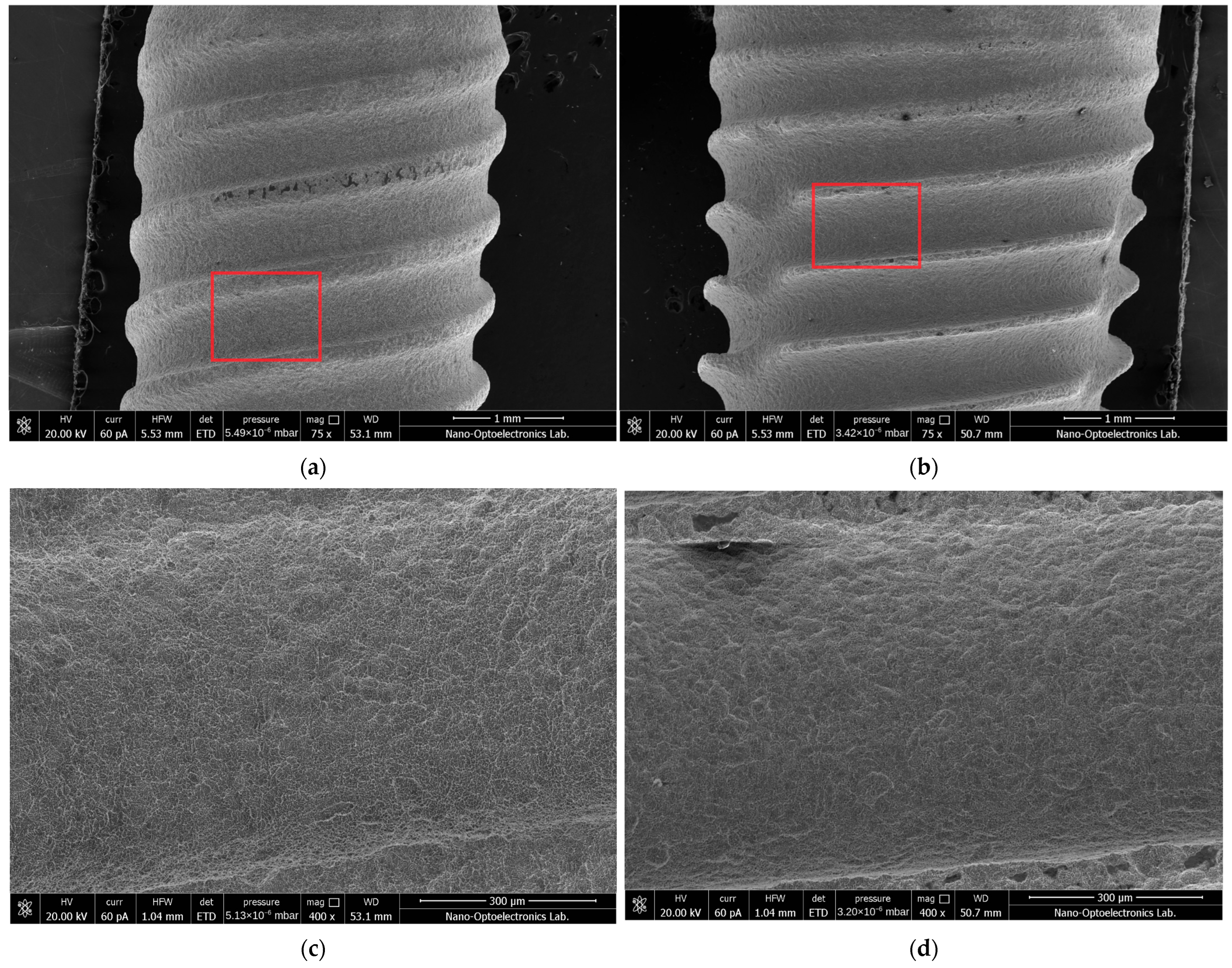 Nanomaterials 16 00703 g002 Nanomaterials 16 00703 g002