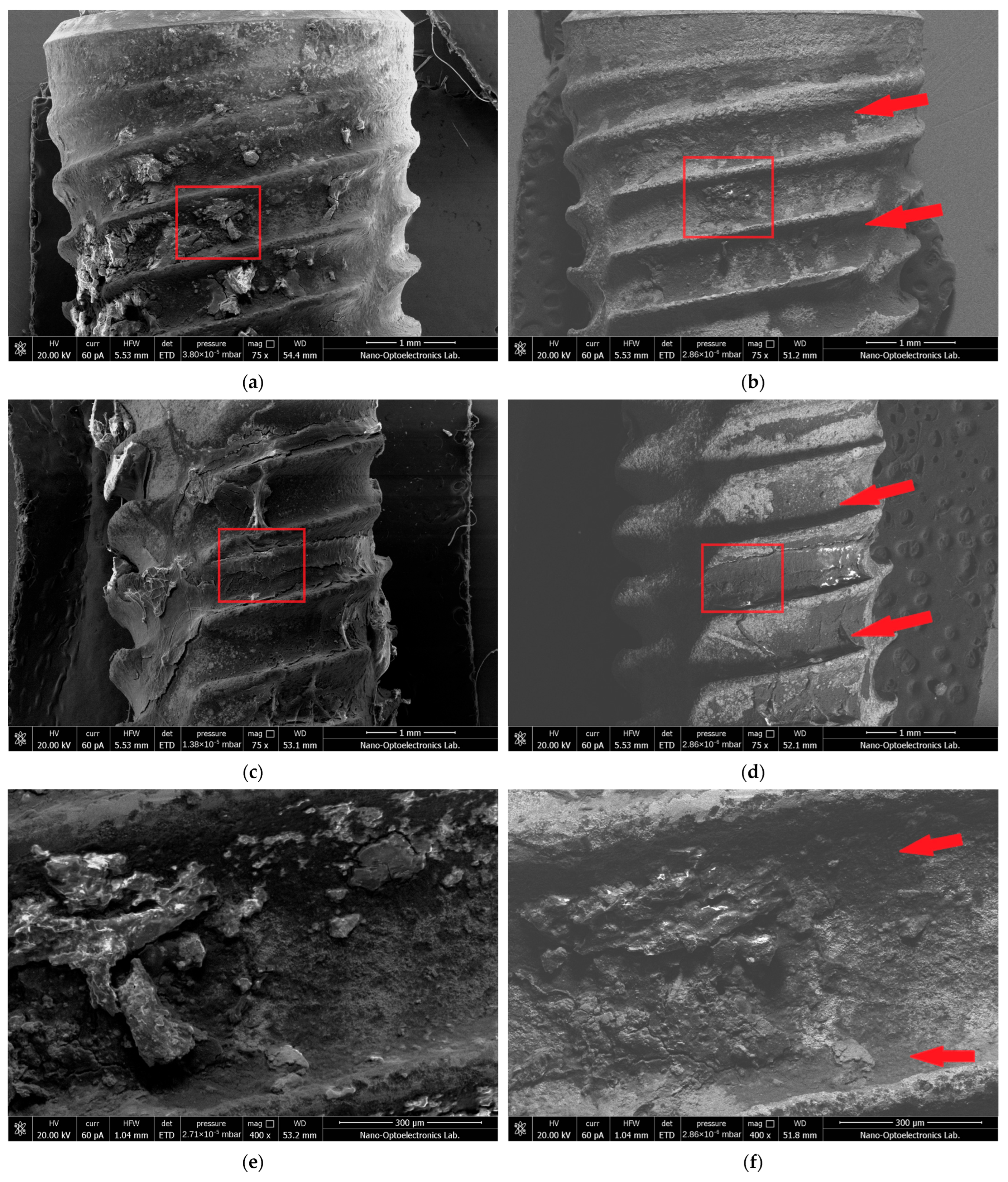 Nanomaterials 16 00703 g003a Nanomaterials 16 00703 g003a