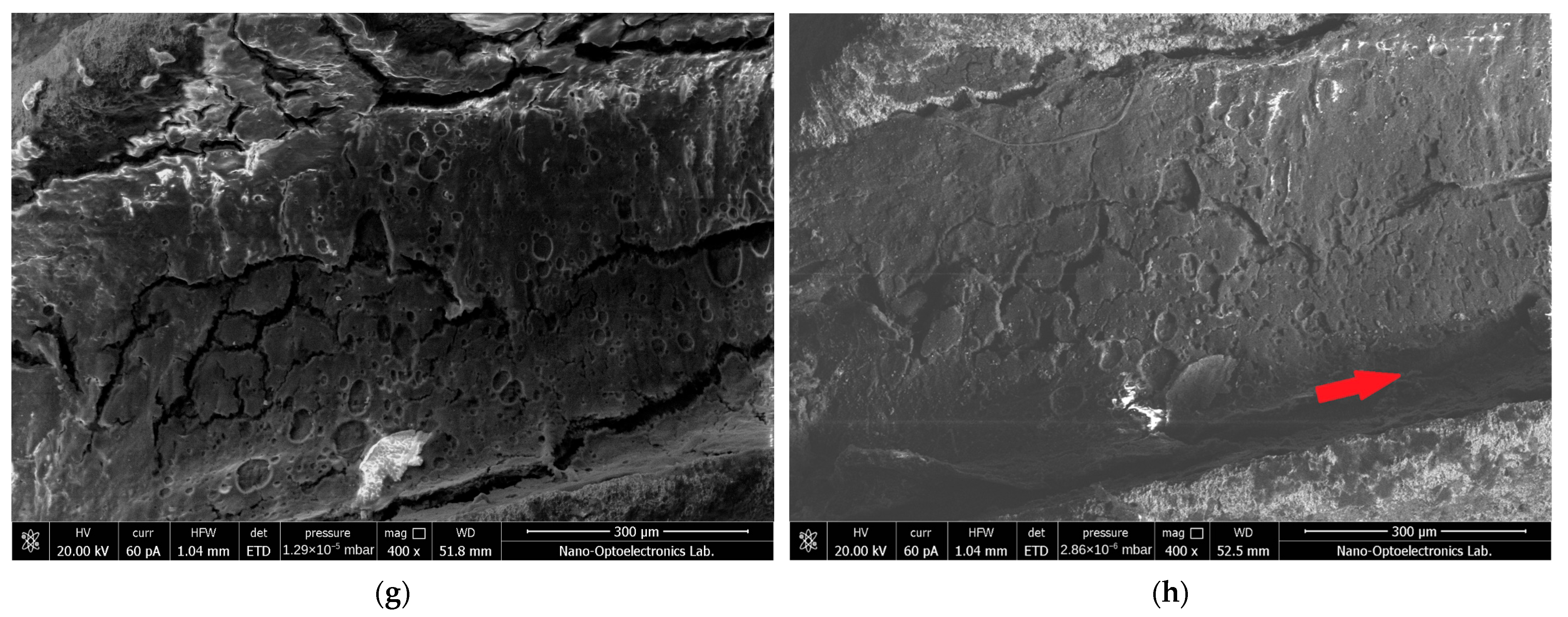 Nanomaterials 16 00703 g003b Nanomaterials 16 00703 g003b