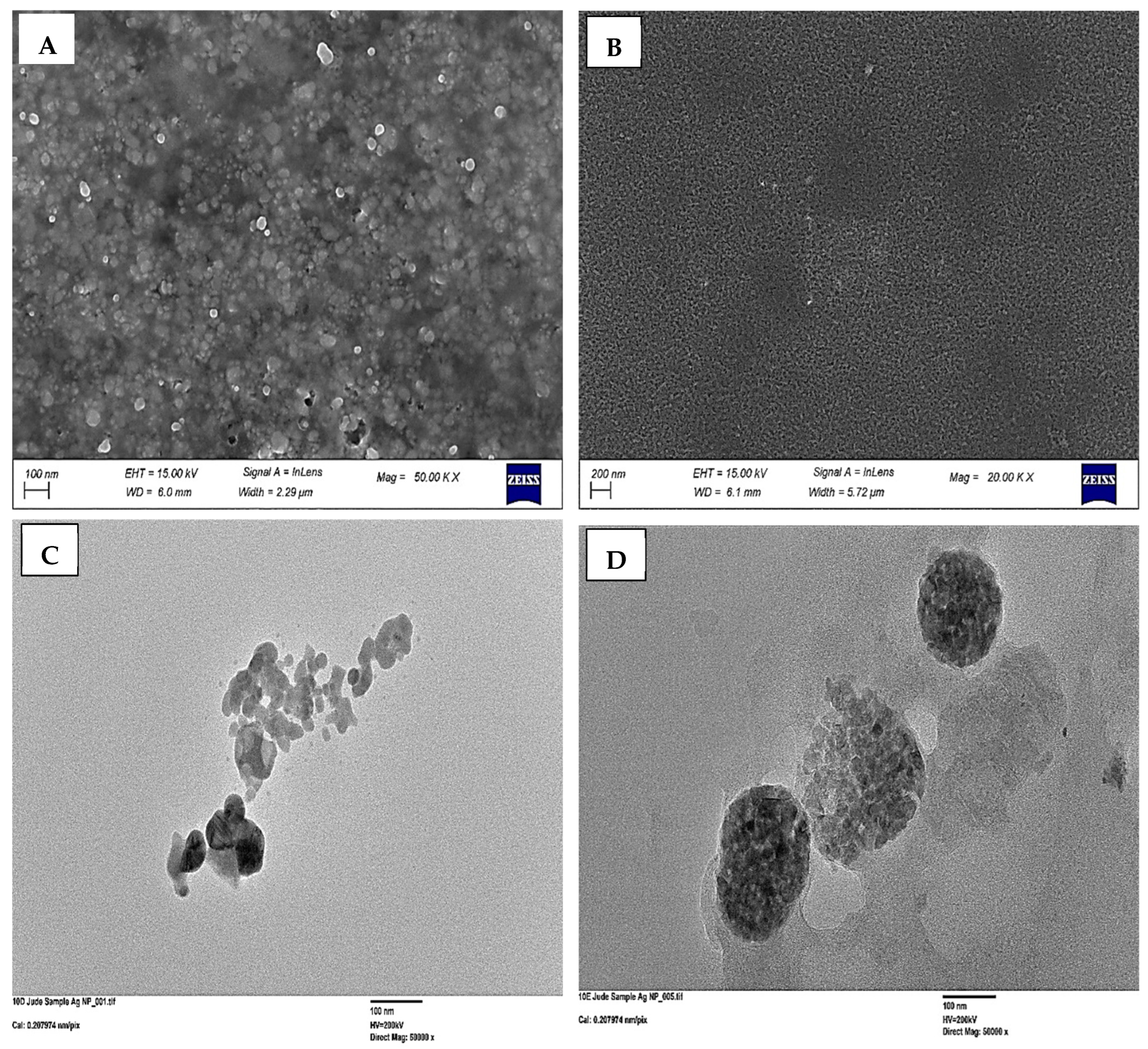 Nanomaterials 16 00730 g001 Nanomaterials 16 00730 g001