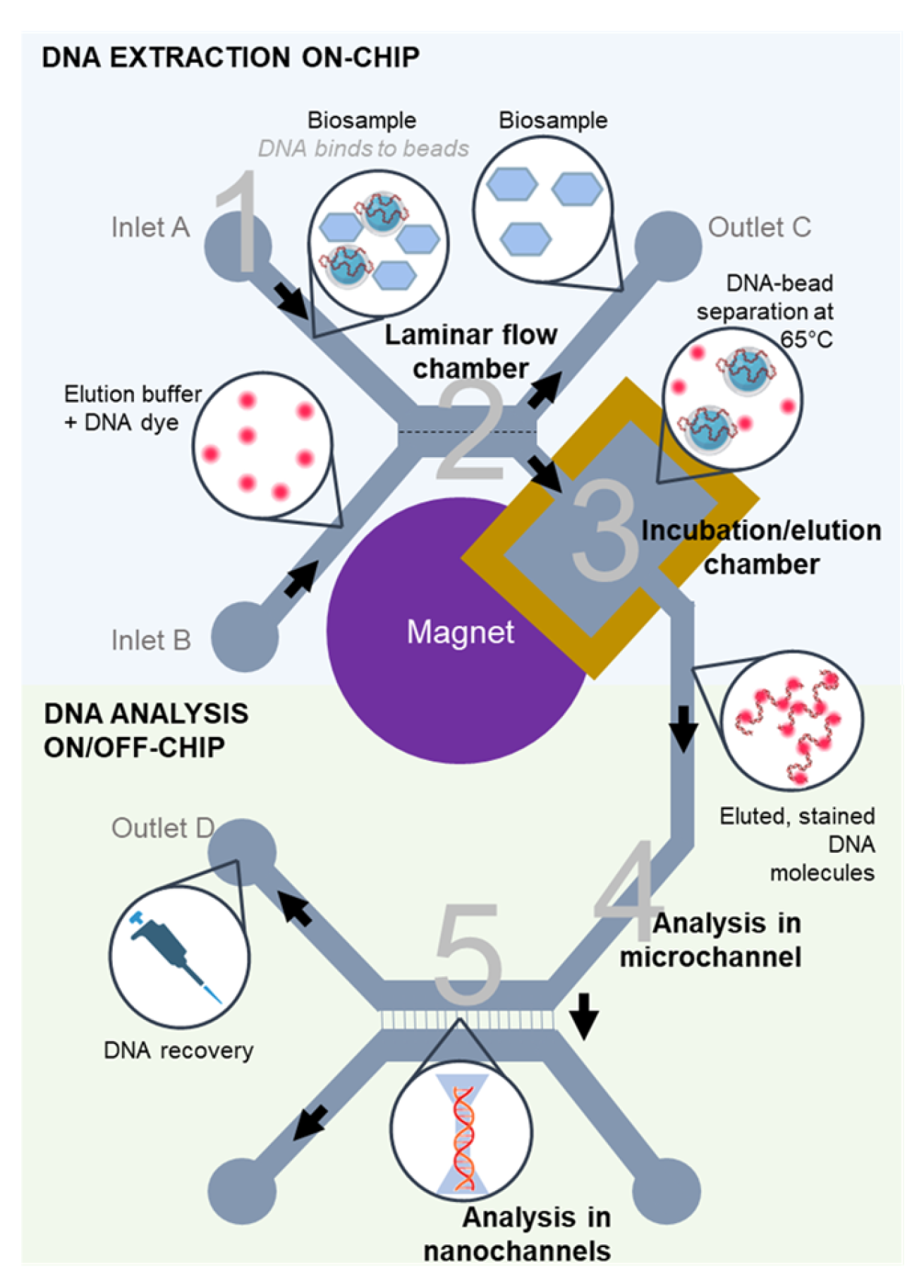 Nanomaterials 16 00732 g001 Nanomaterials 16 00732 g001