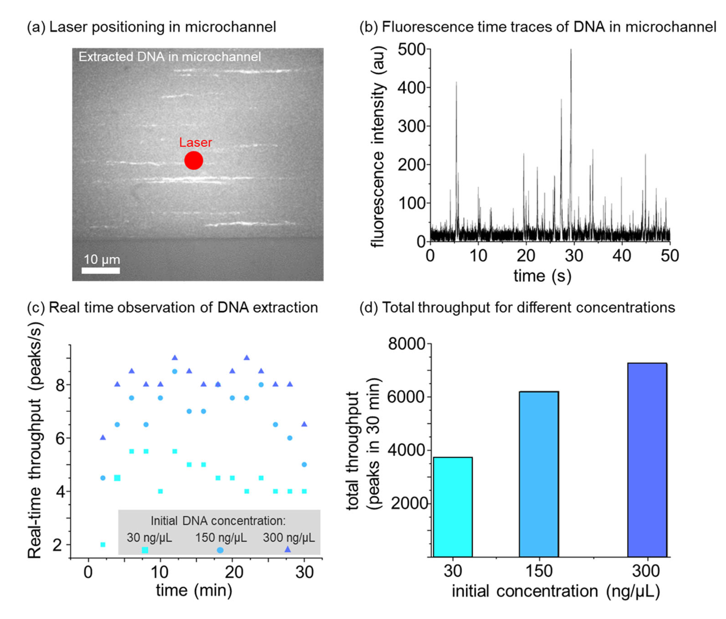 Nanomaterials 16 00732 g004 Nanomaterials 16 00732 g004