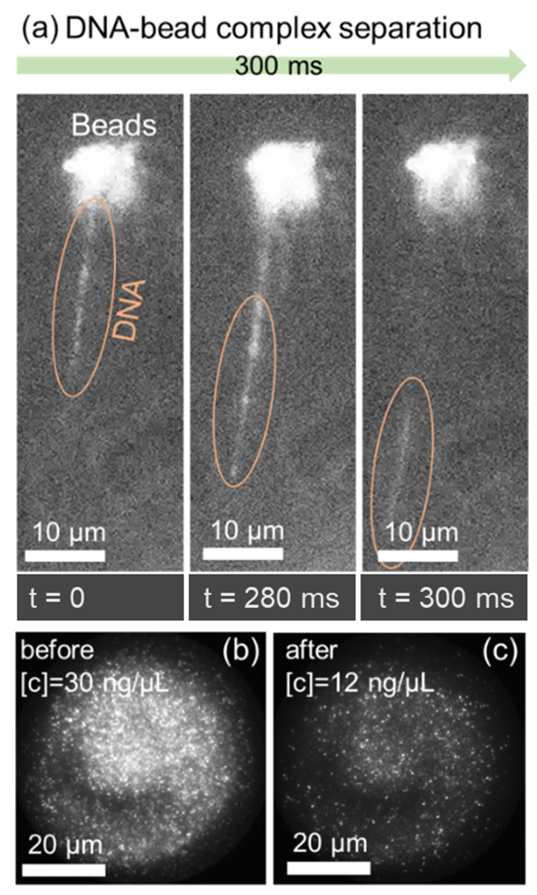 Nanomaterials 16 00732 g006 Nanomaterials 16 00732 g006
